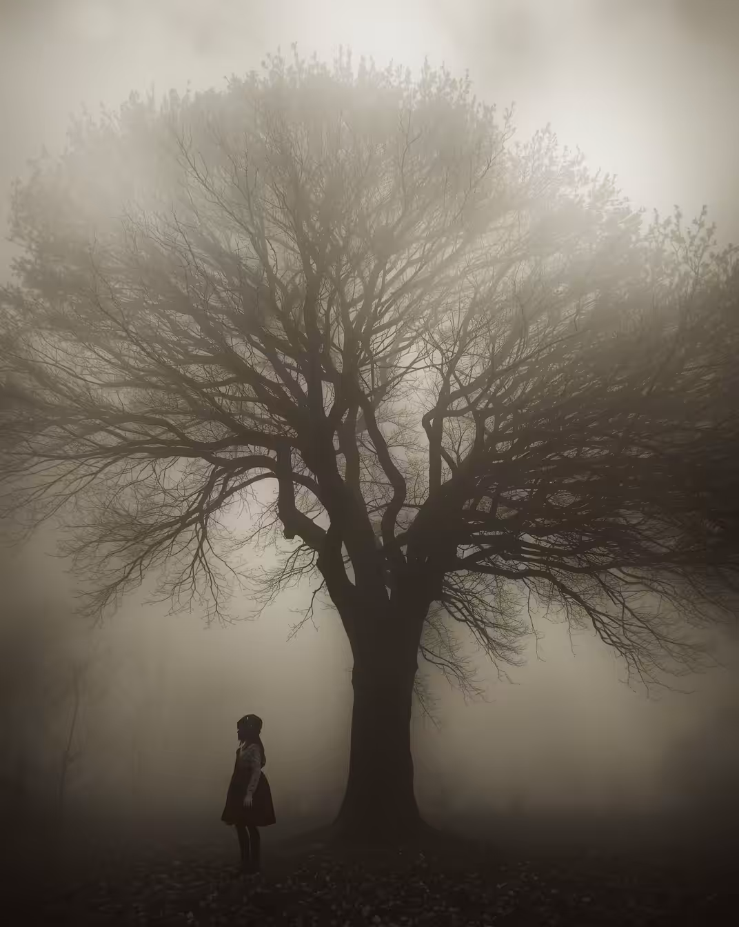 Into the fog