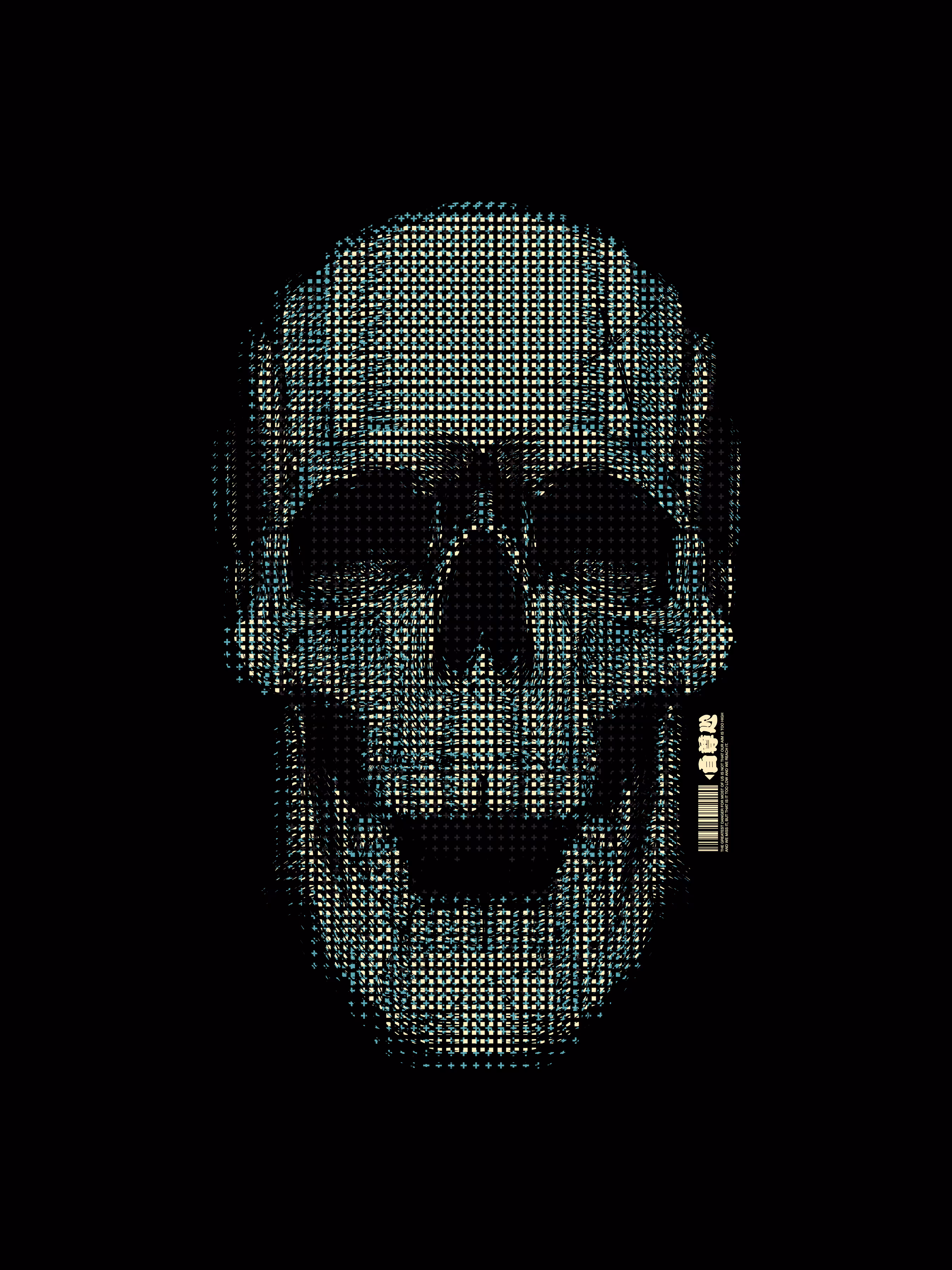 H74 Matrix Skull
