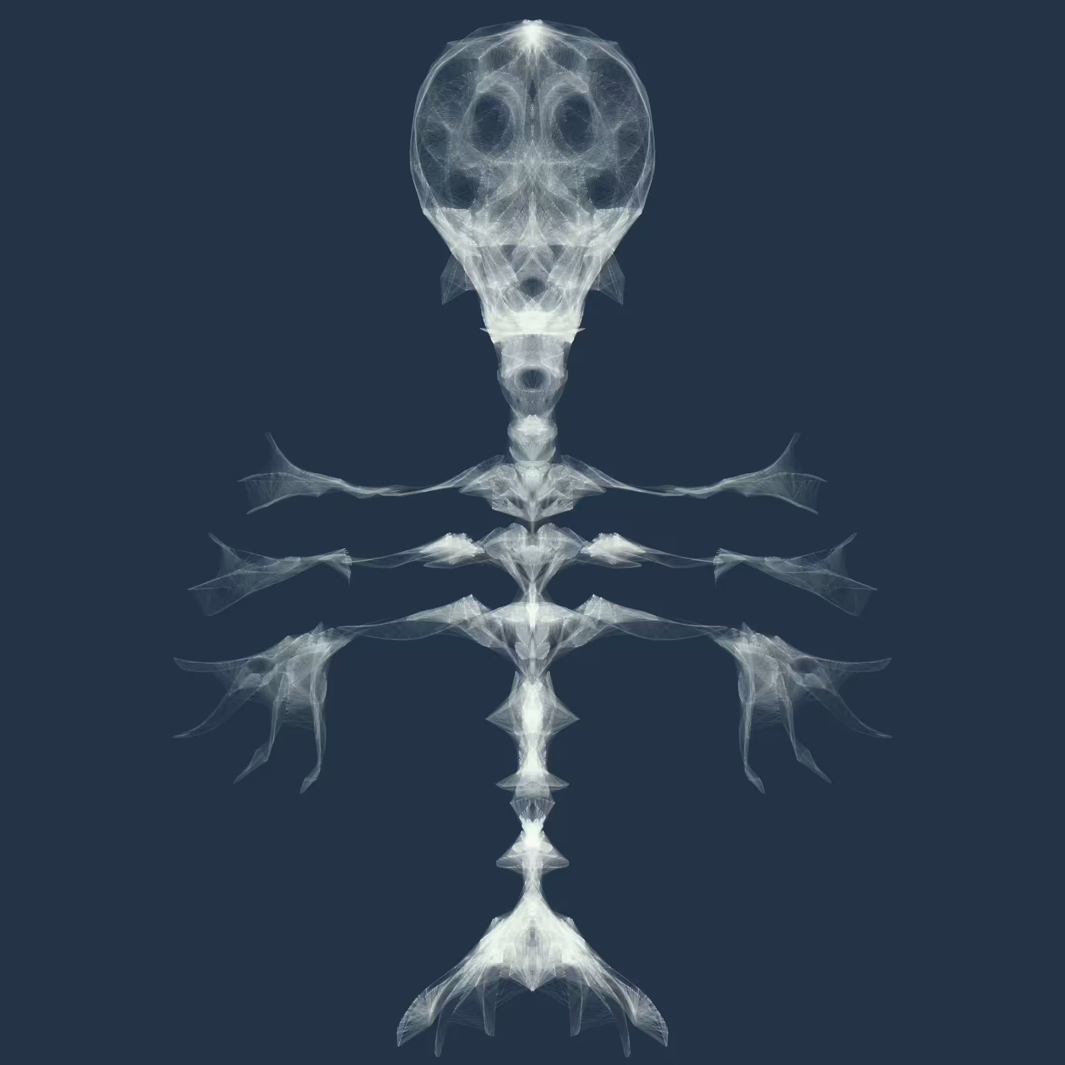 X 005