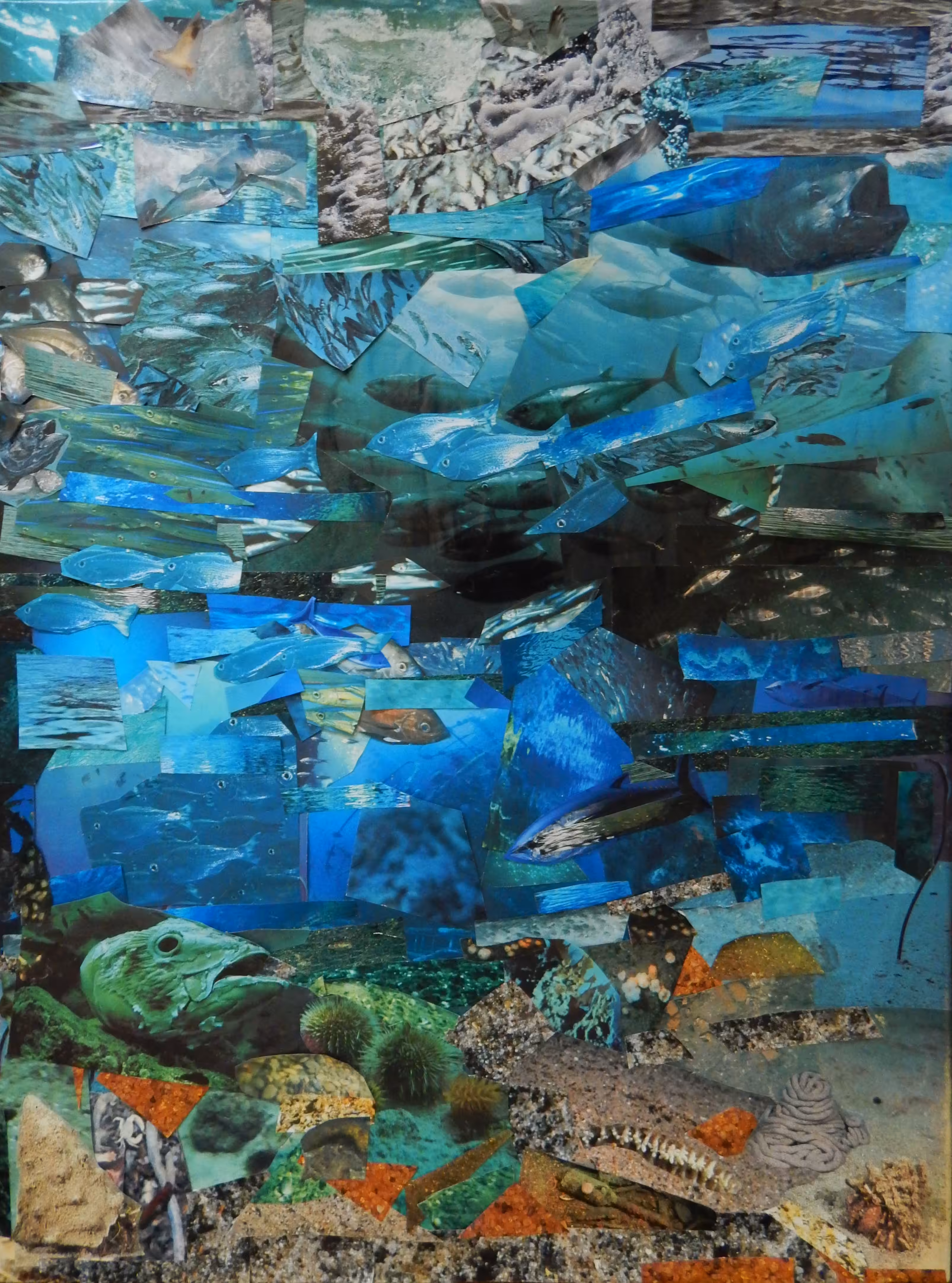 Fish Fantasia