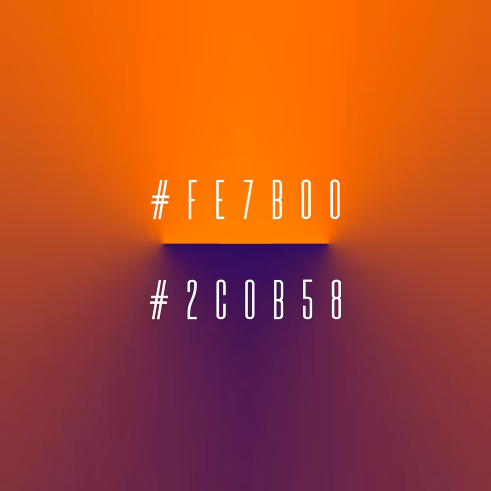 #fe7b00 / # 2c0b58
