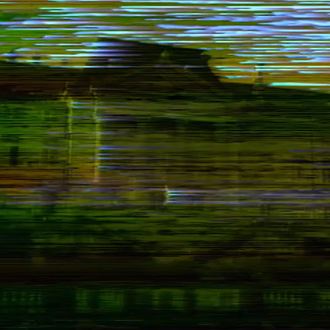 vhs dream 0211