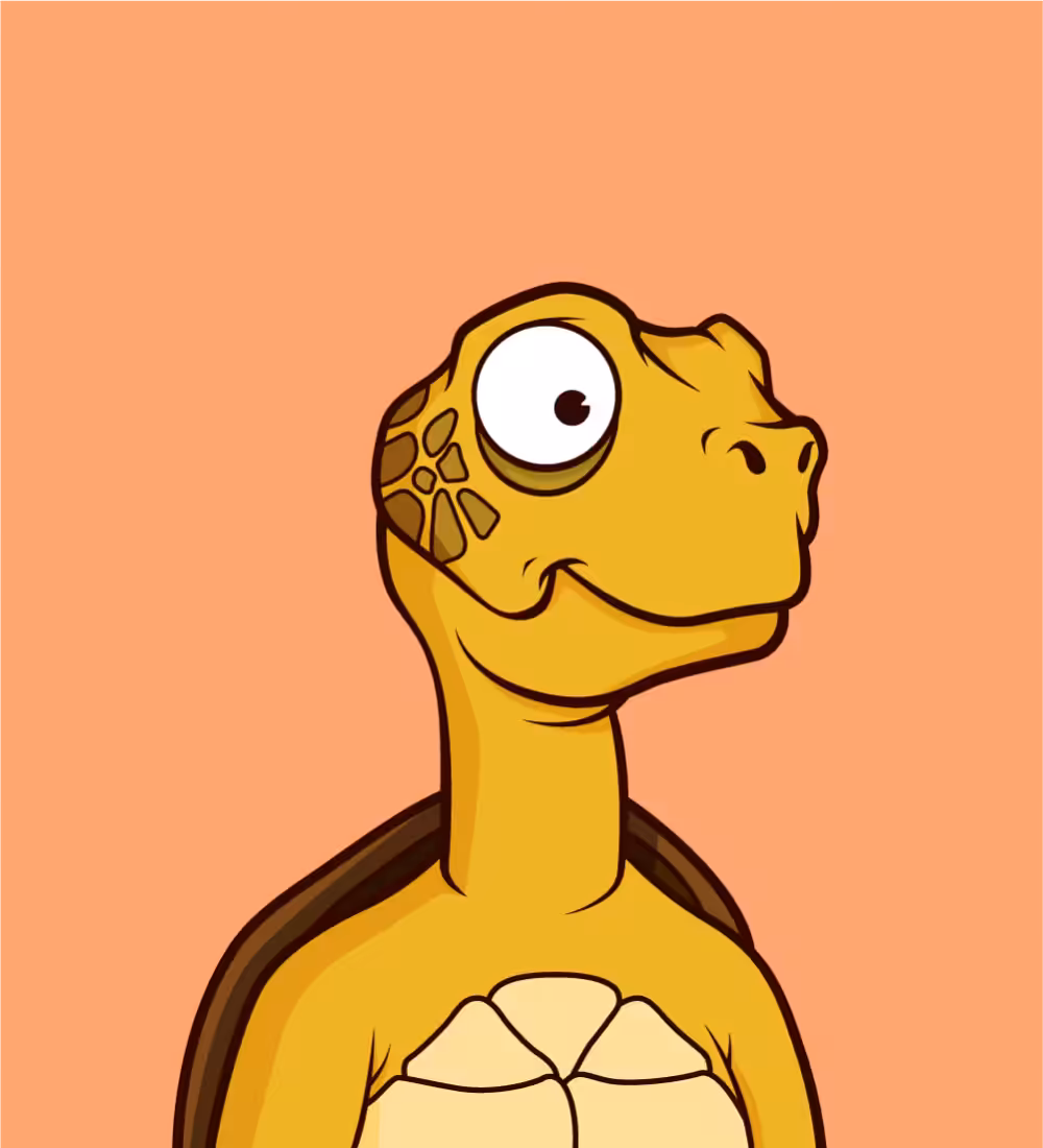 Tiny Turtle 102