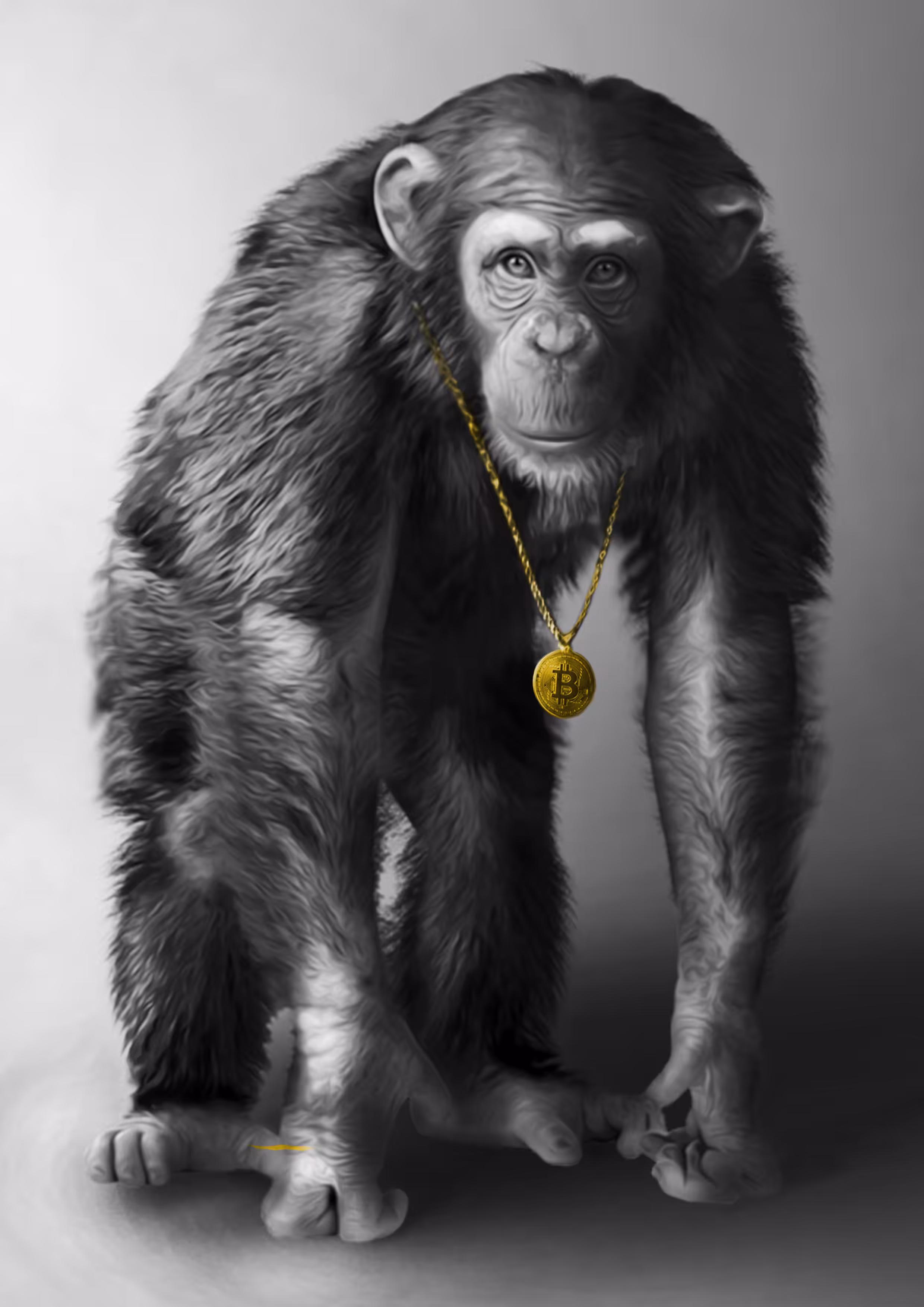 Bitcoin Ape