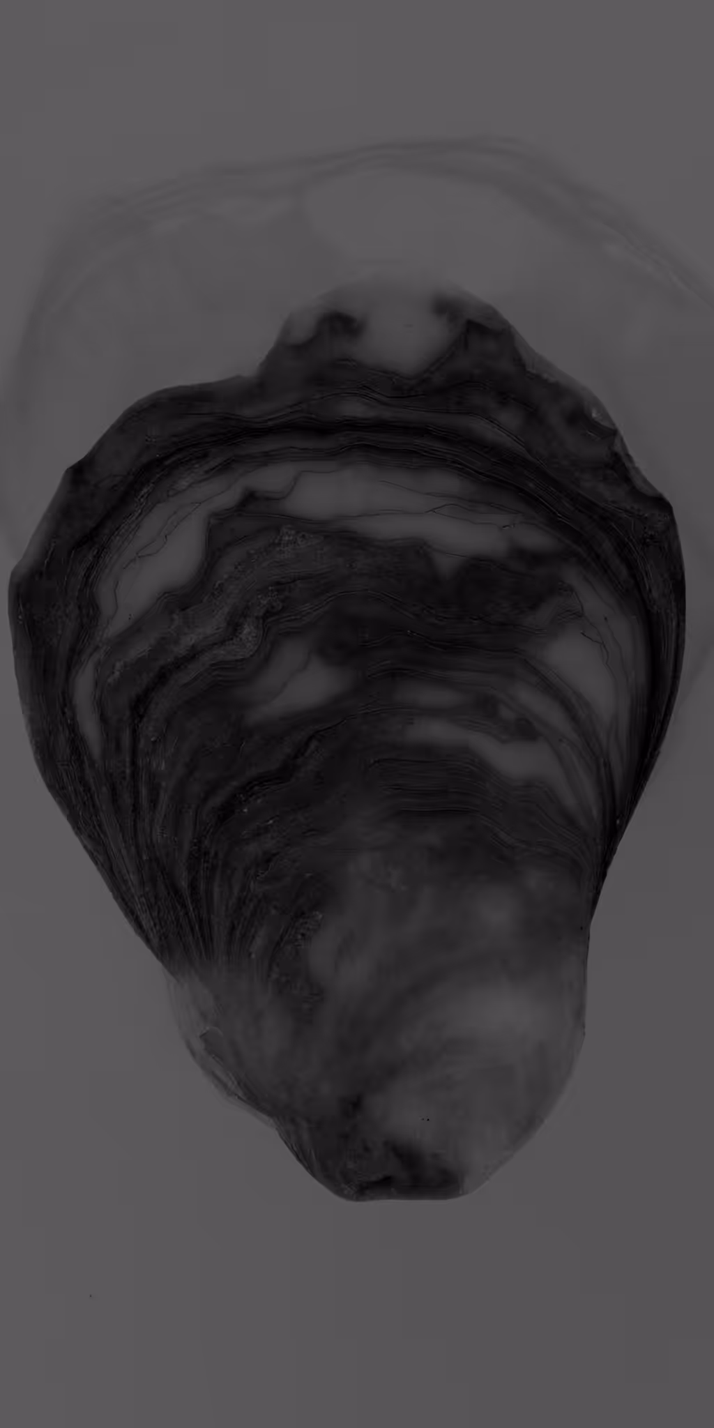 The Shell Record: Breathings of the Moon: Shivering Sand