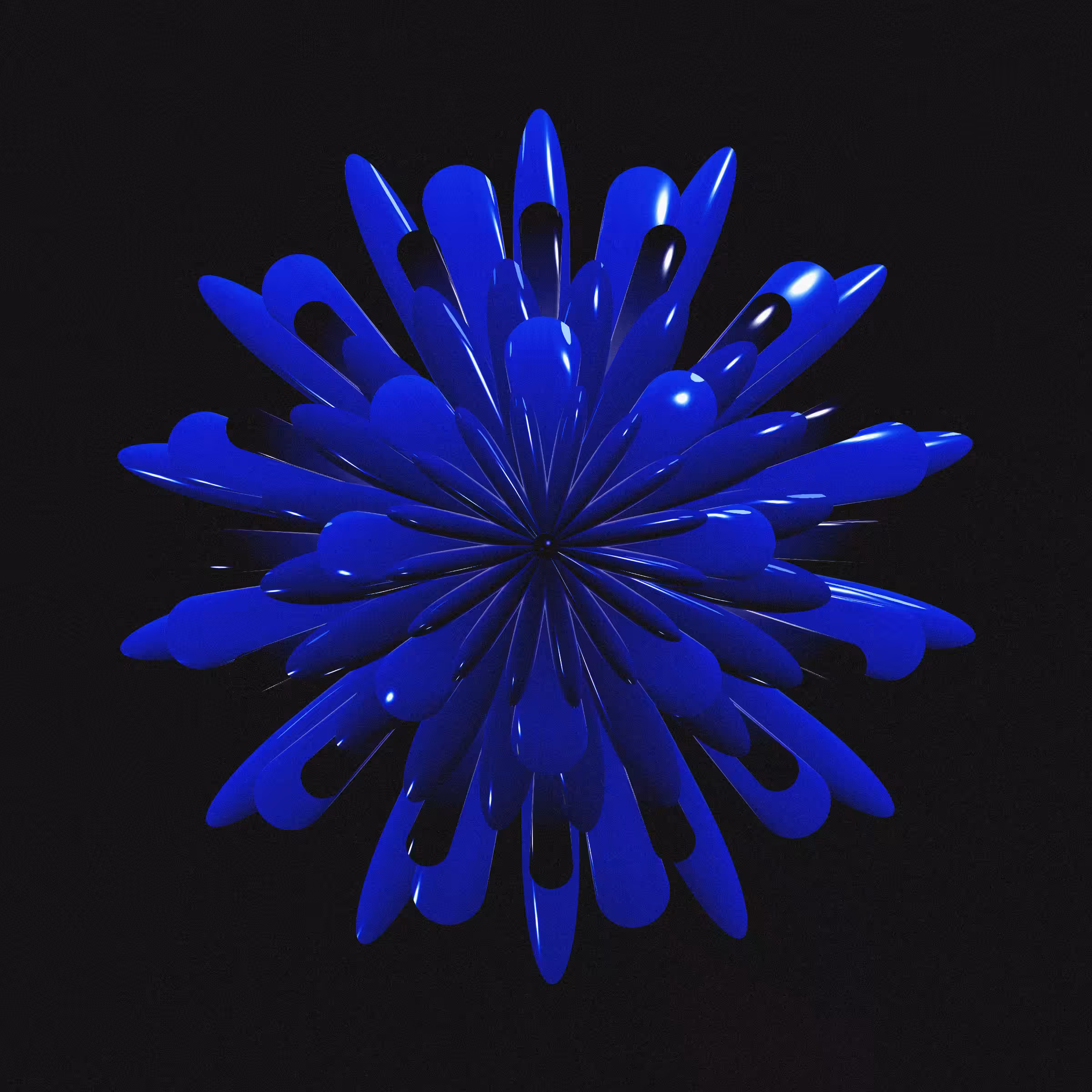 Geophylla #111