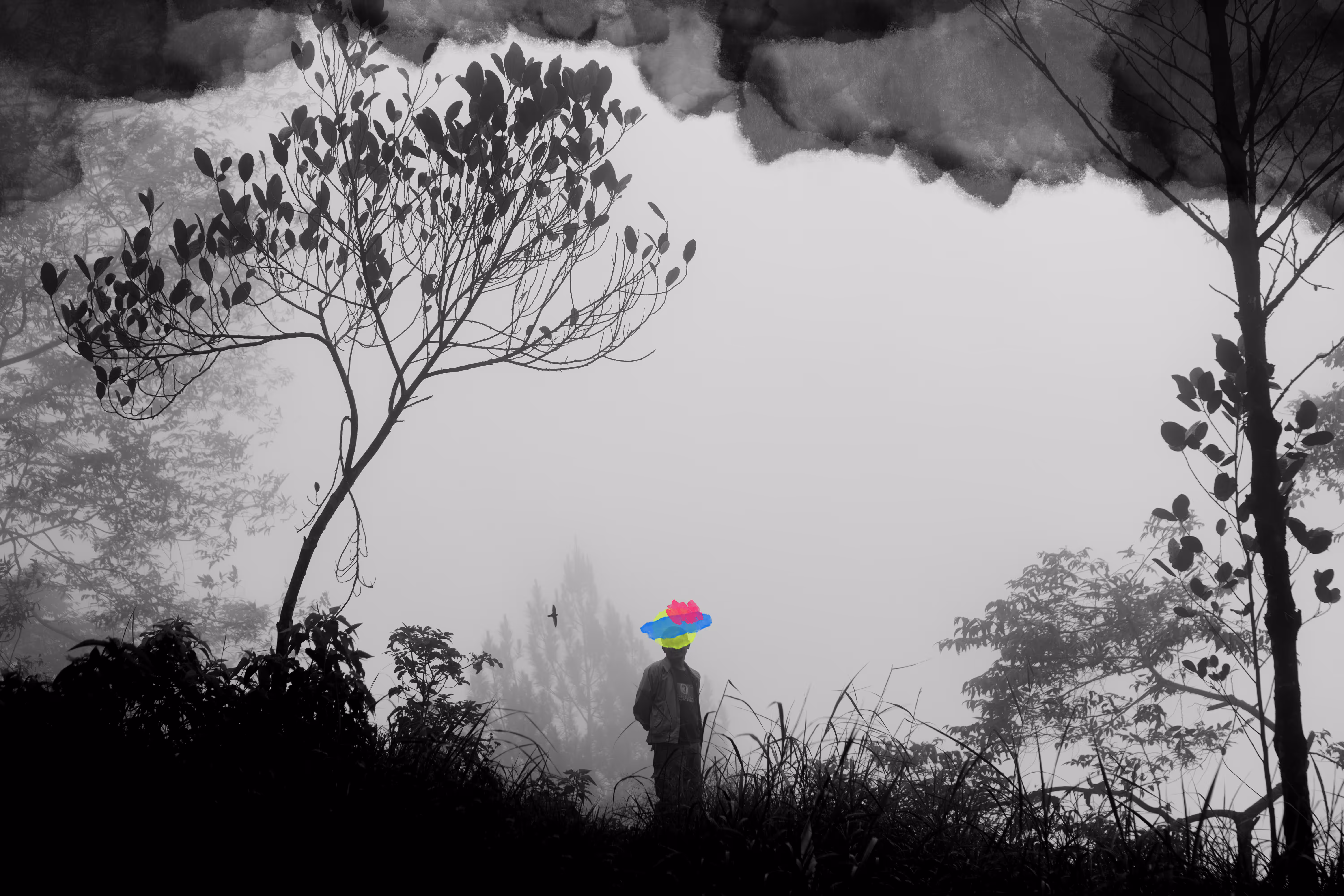 Synesthesia 