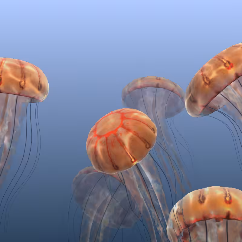 Jellyfish #14