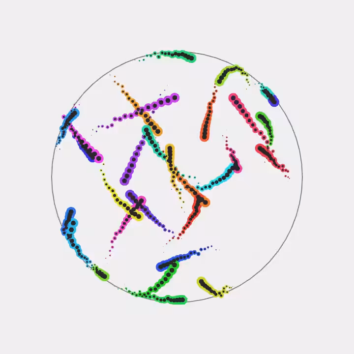 DoodleDeProgramming_20240916