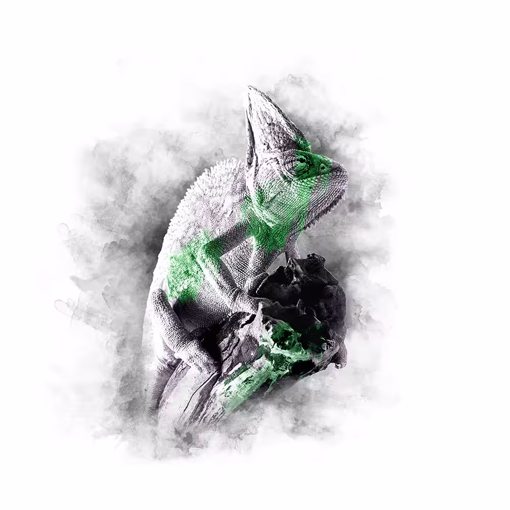 GREEN SERIES - CHAMELEON
