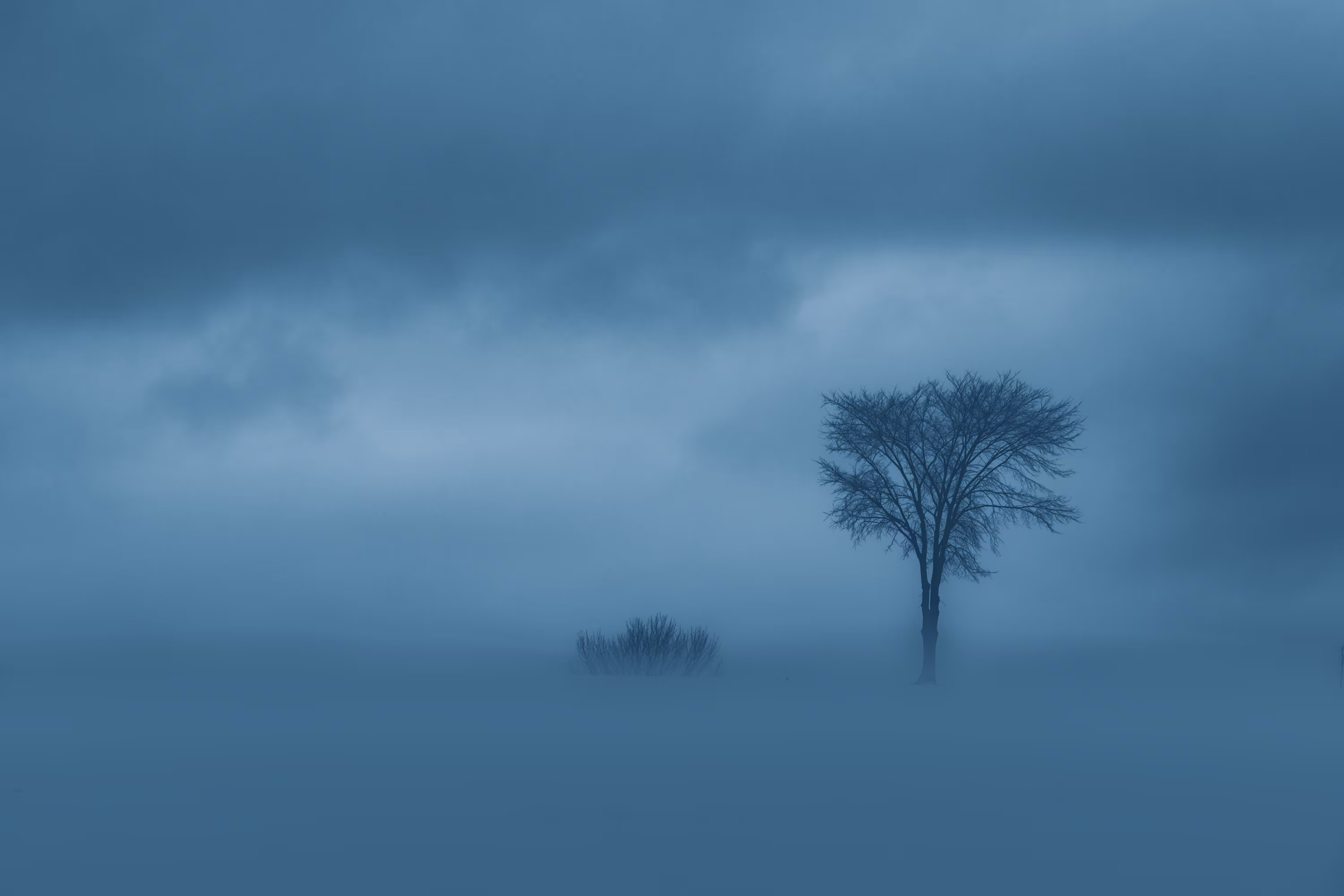 dreamscapes