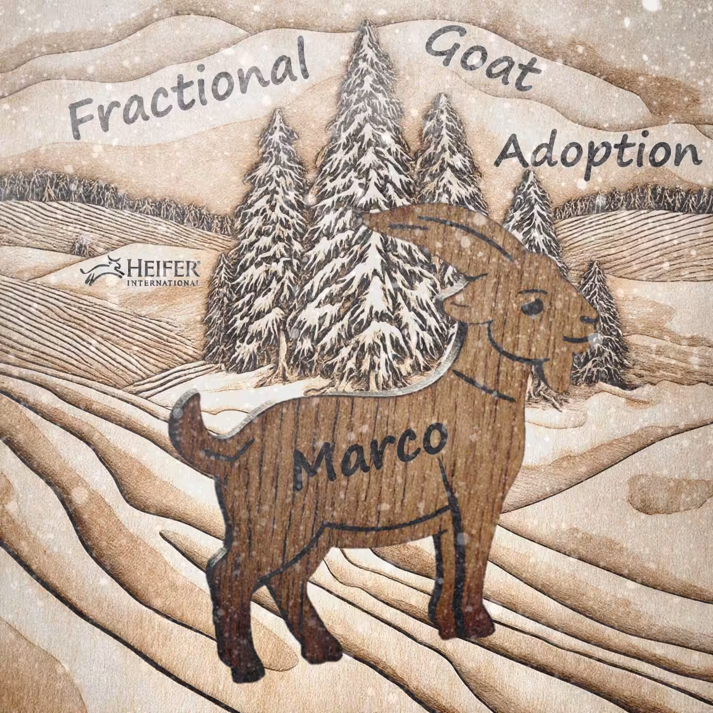 Marco's Fractional Goat