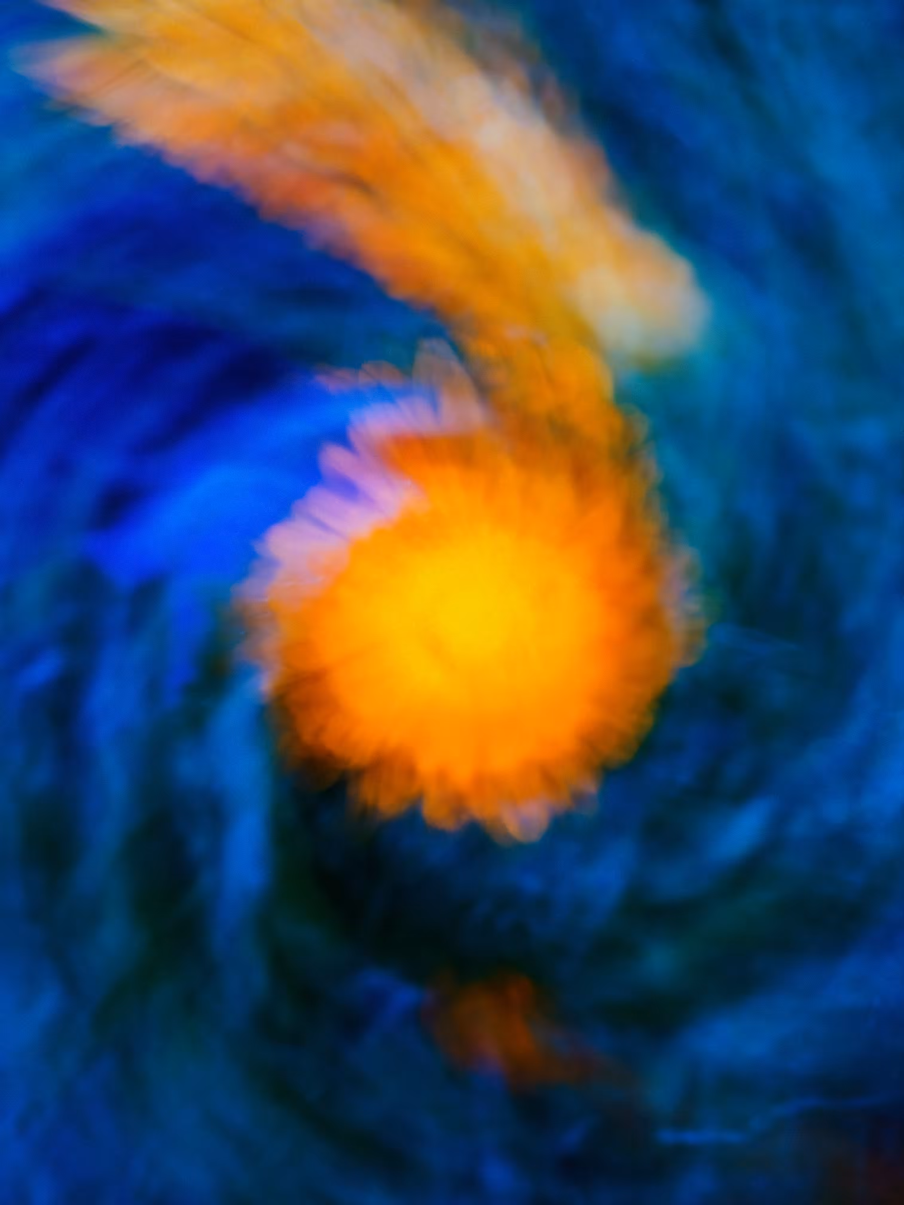 Spiral Galaxy