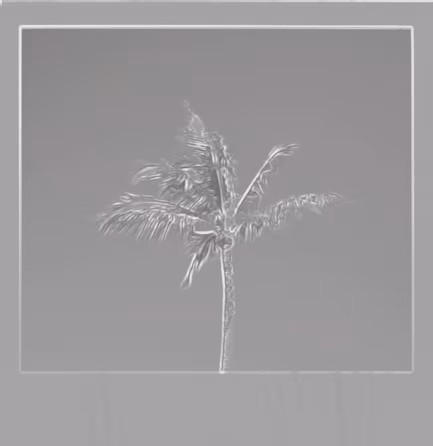 Edged by the Palm 