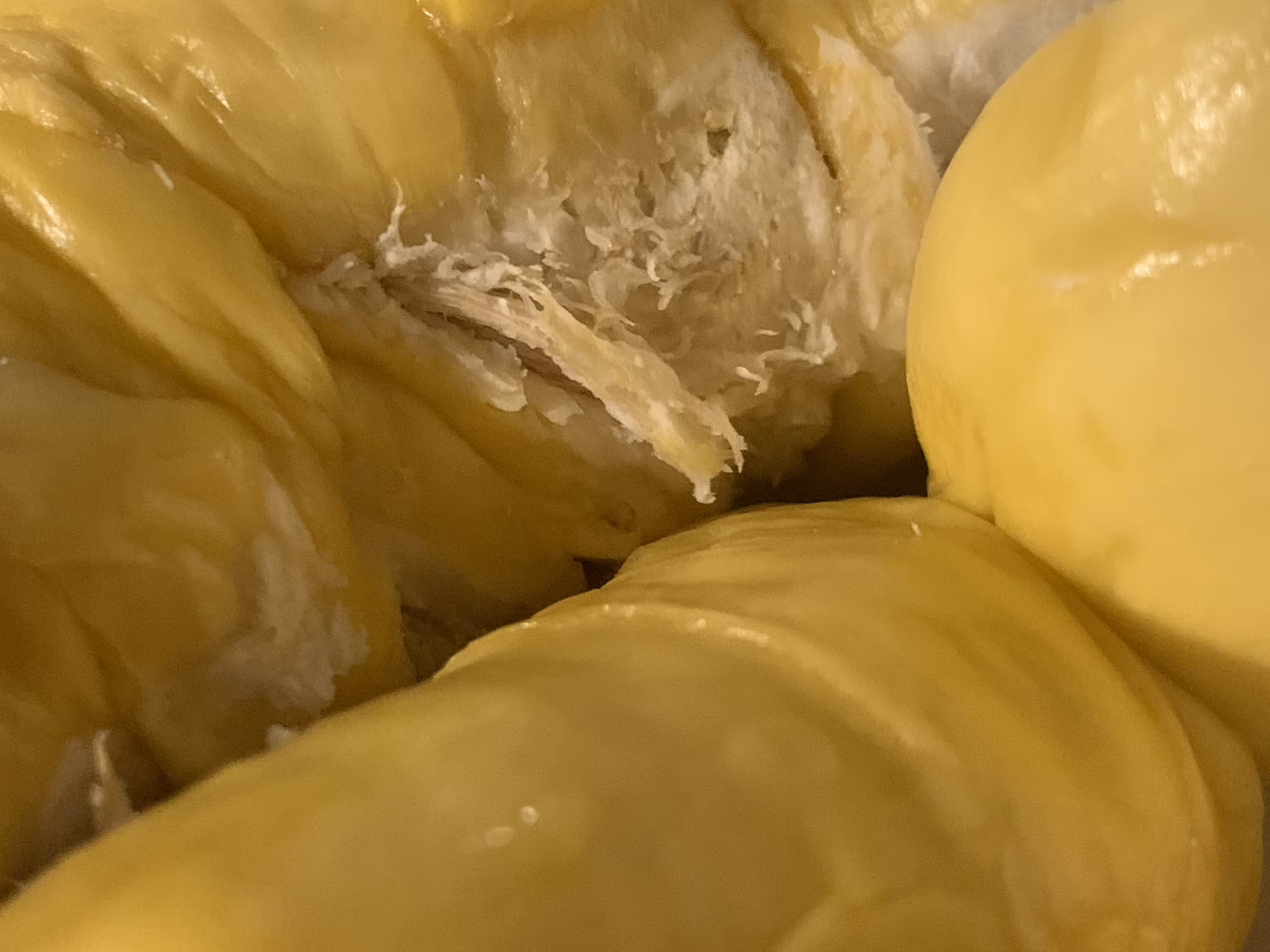 Durian Porn / 2195623042024520