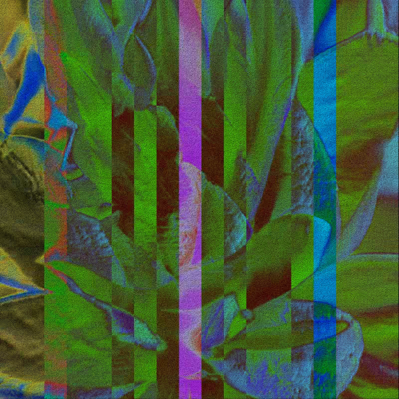 CLDCSMC #162
