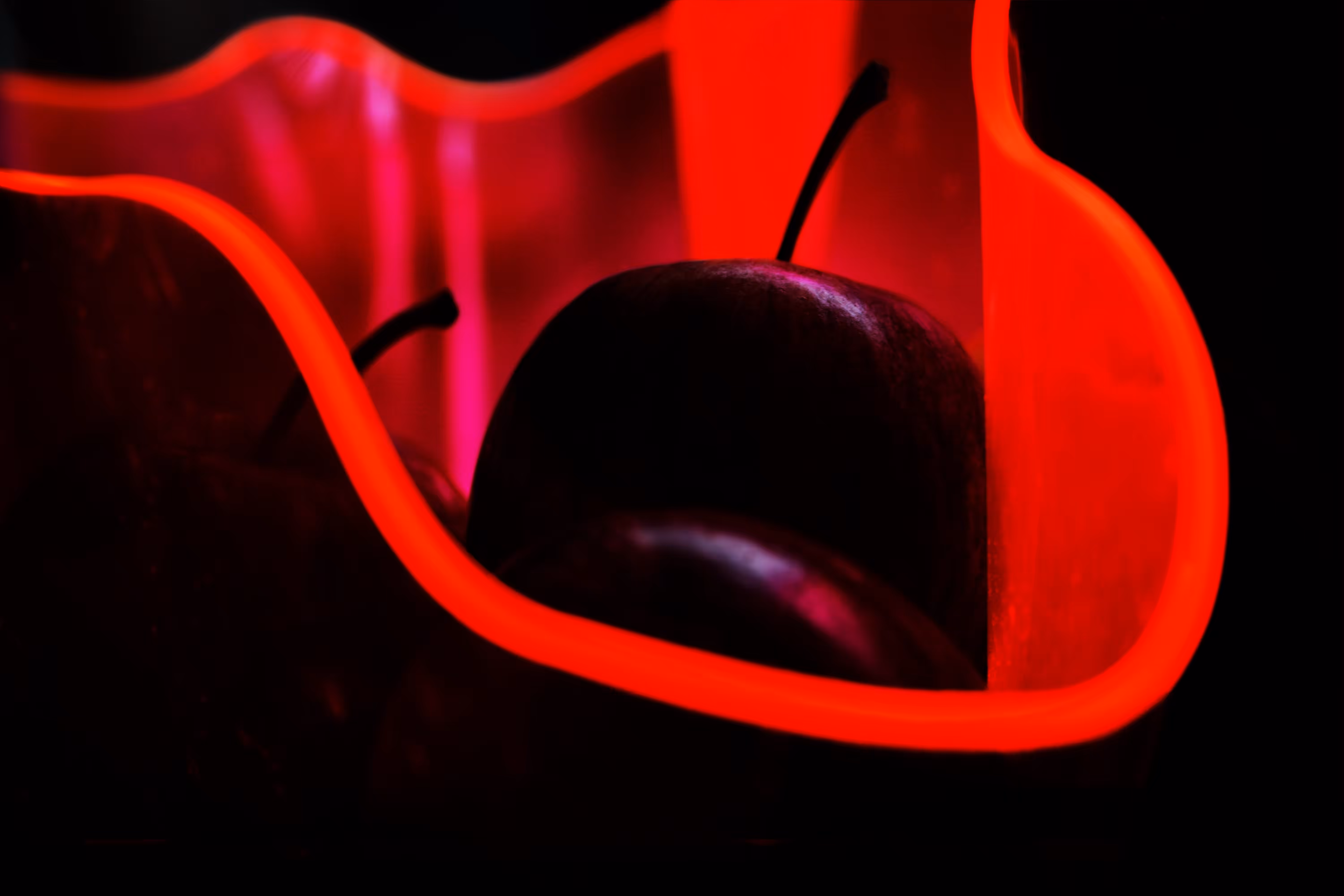 The Poisoned Apples, 2073