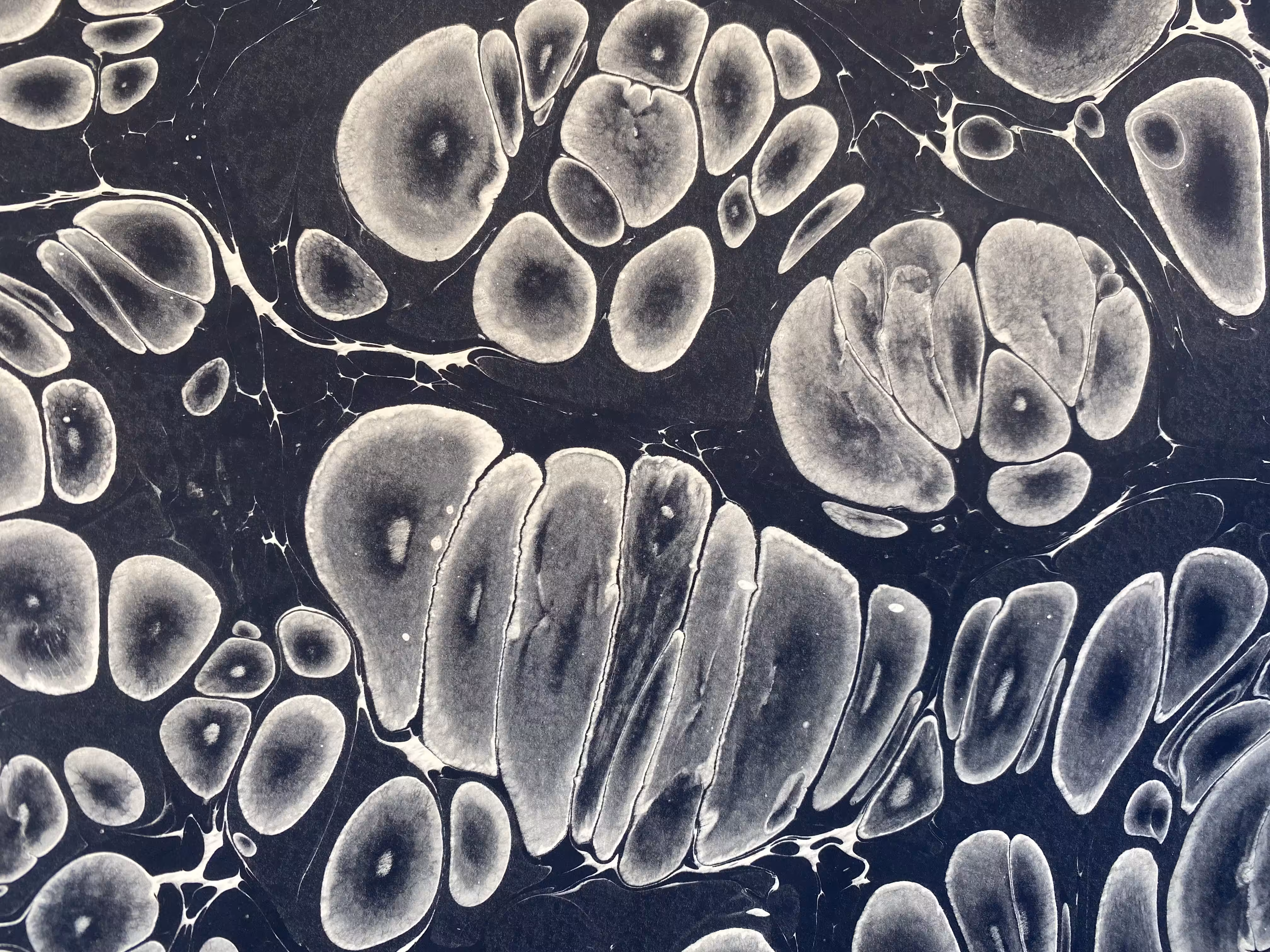 Monochrome Battal Ebrû / Marbling Art SE #14