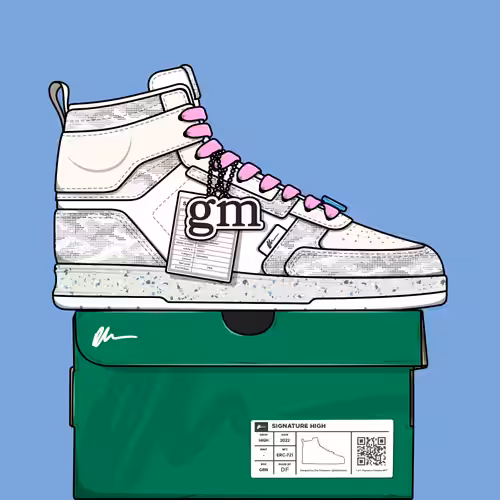 Signature Sneakers Highs #233