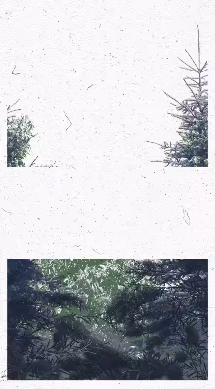 Life in the forest! #69