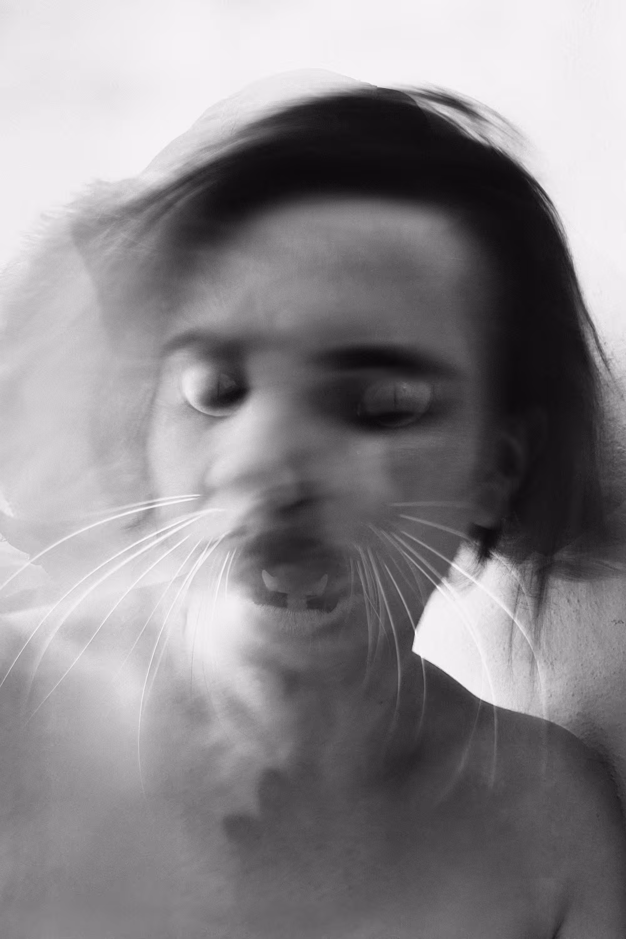 Cat person