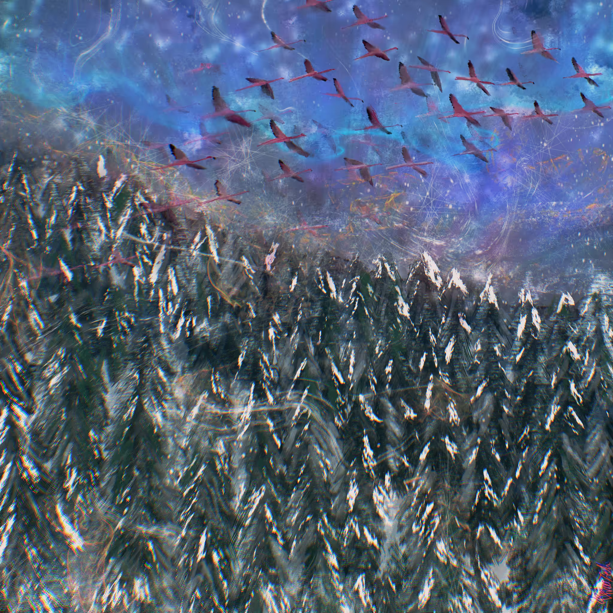 The Next Sky