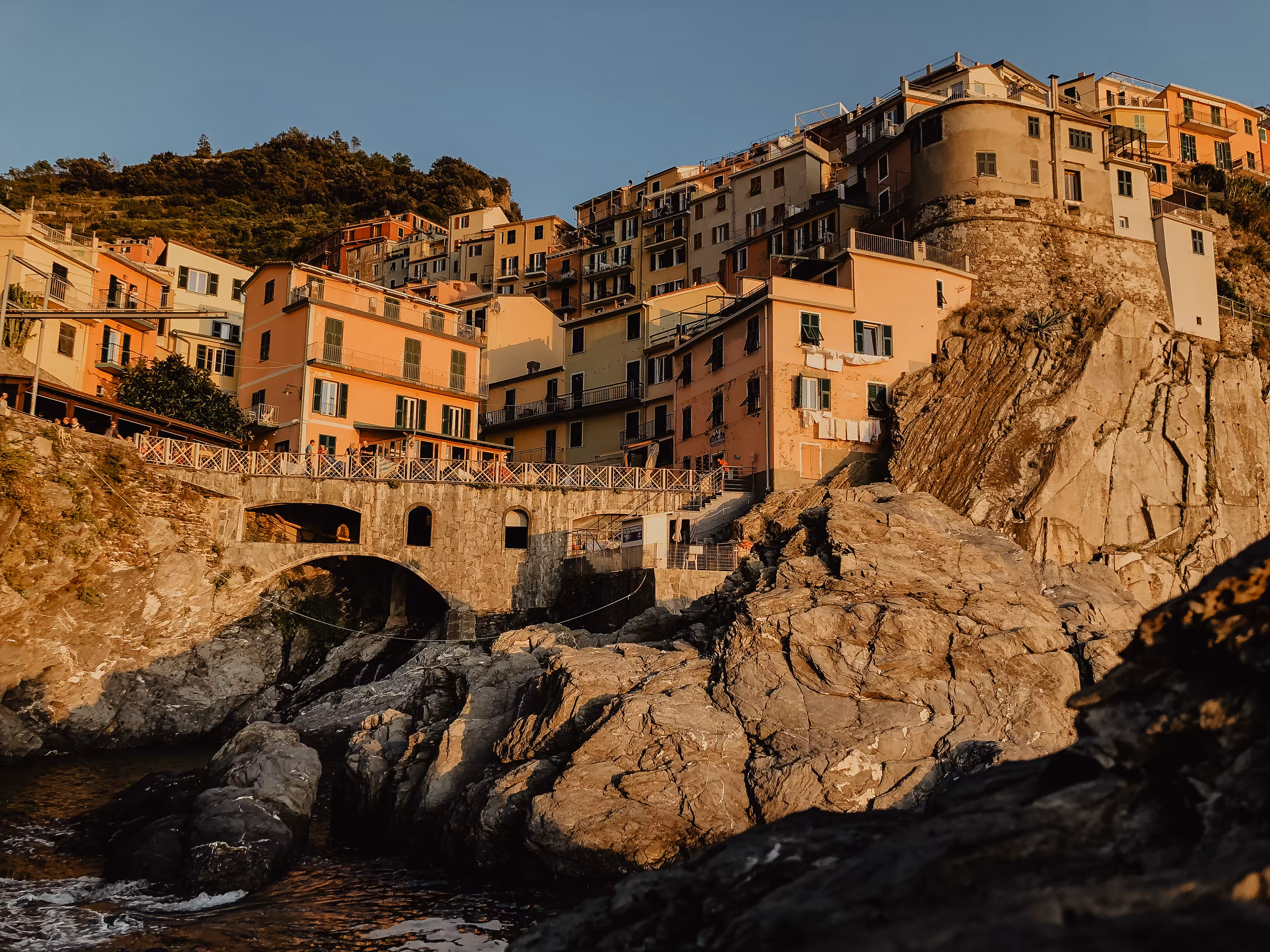 Manarola #1