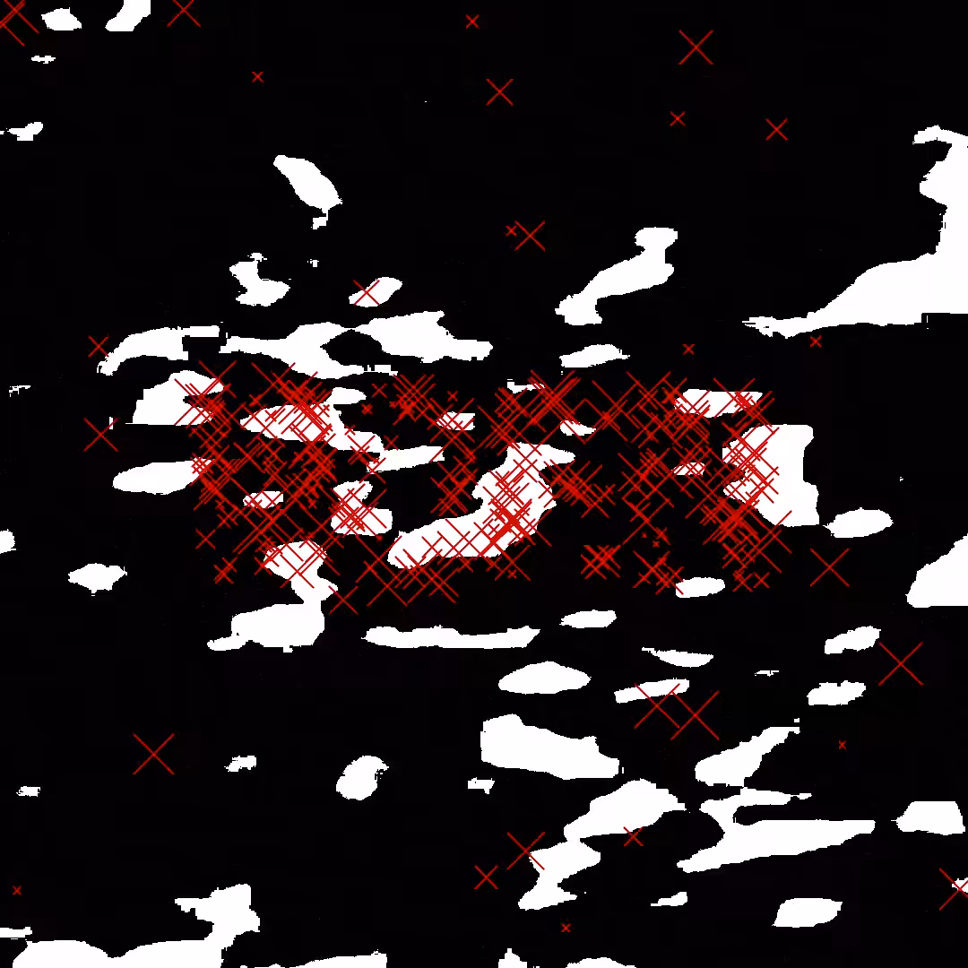 WORN