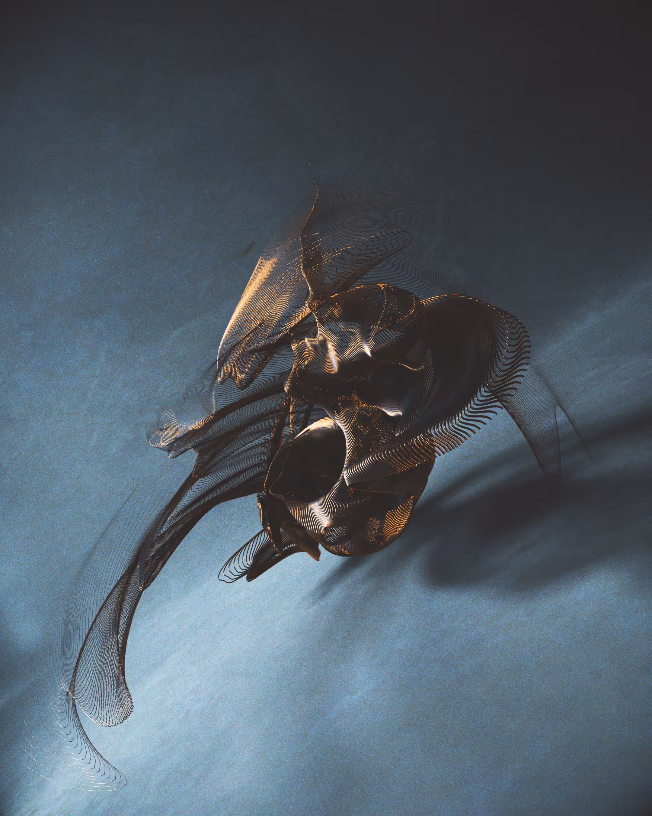 SP10-Hive