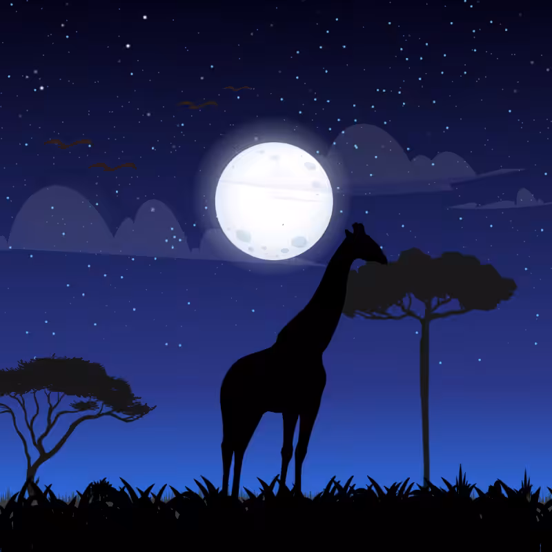 We Care... Giraffe #6