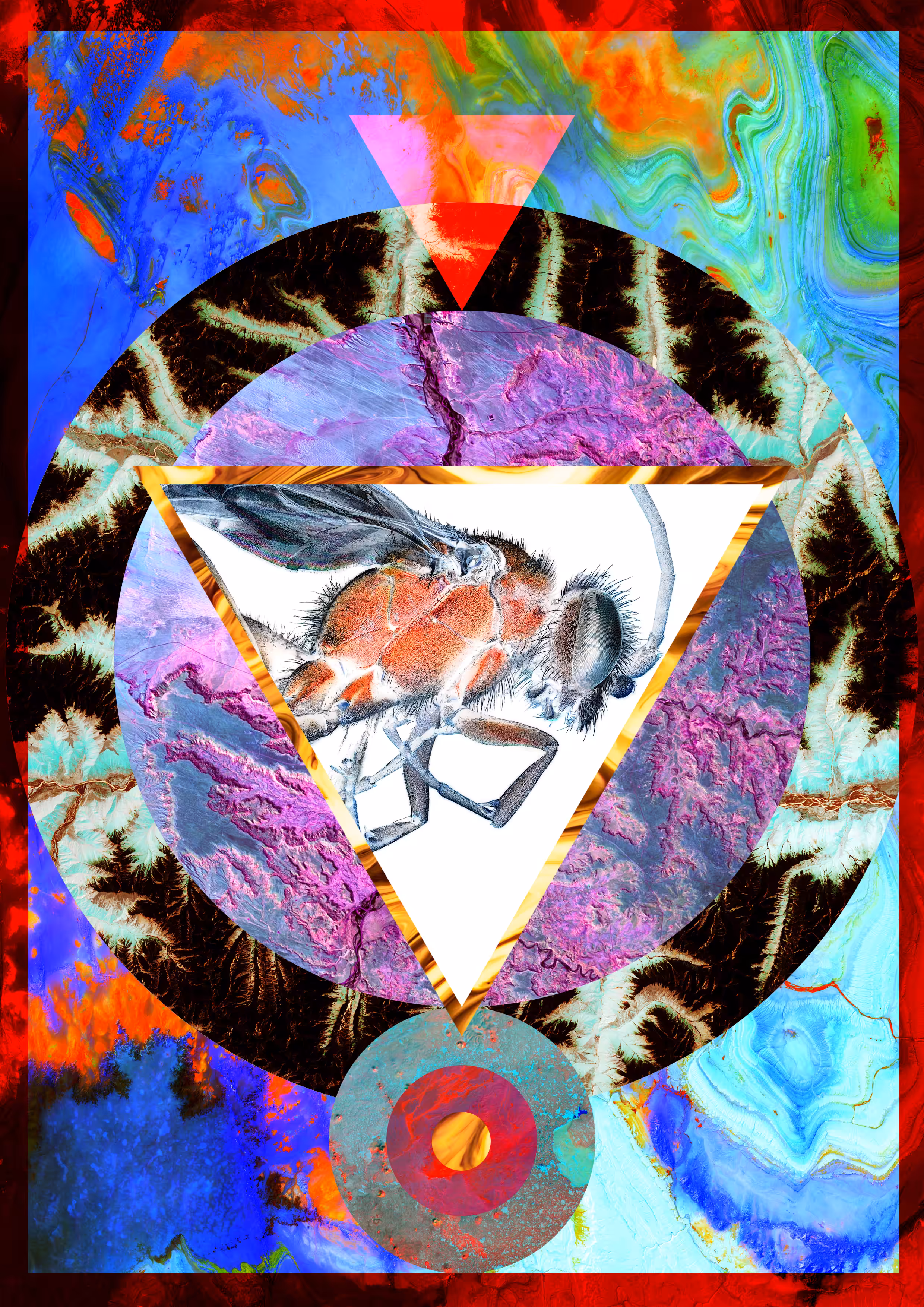 My name is Collage #6