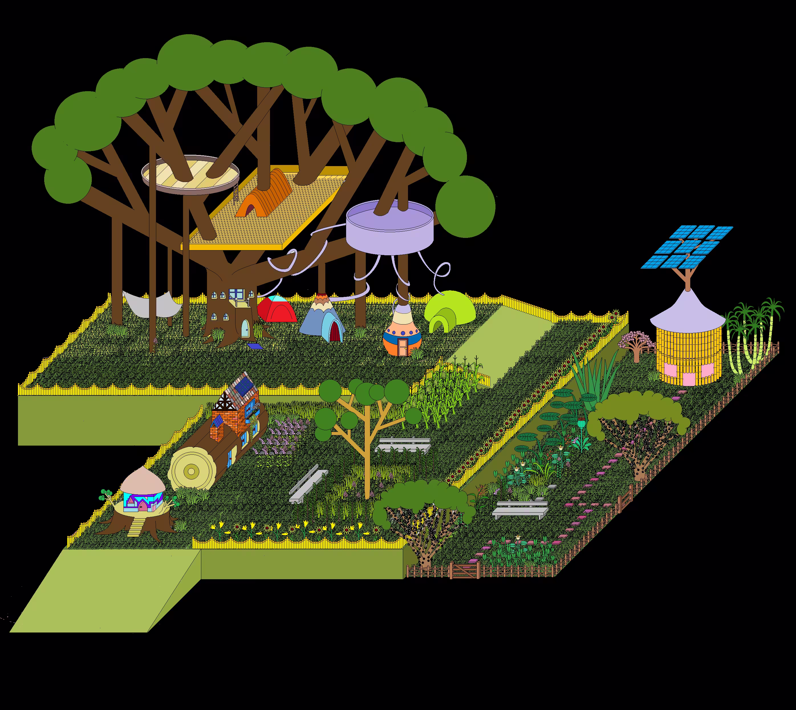 Ficus ecofarm