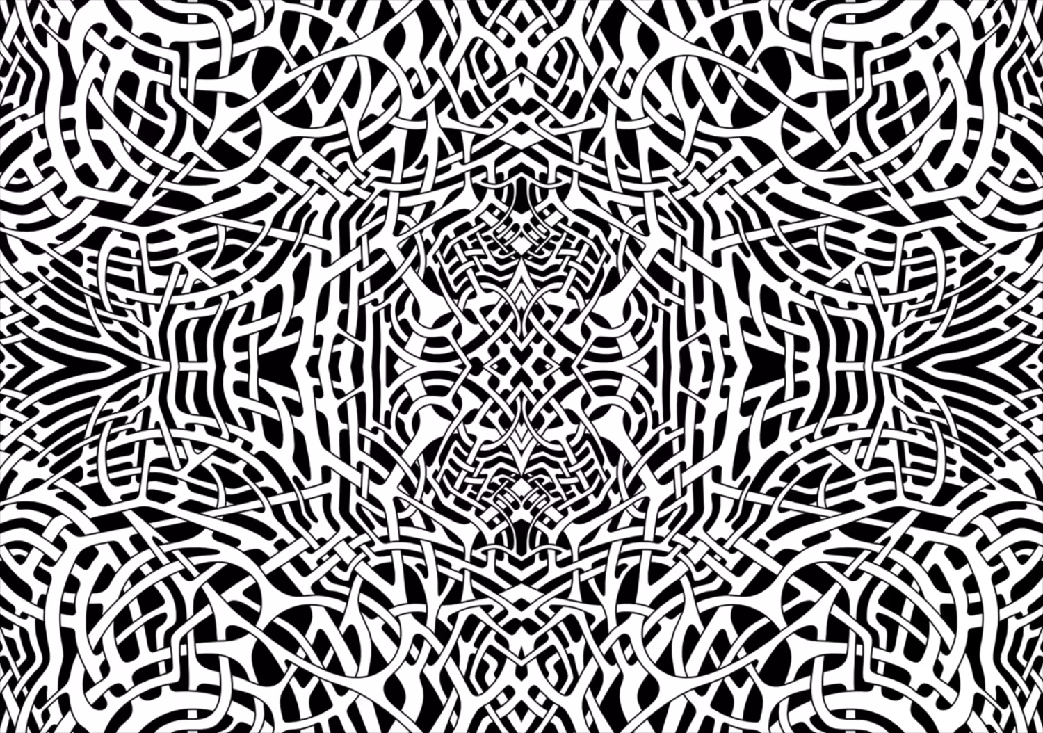 RHIZOME 01A
