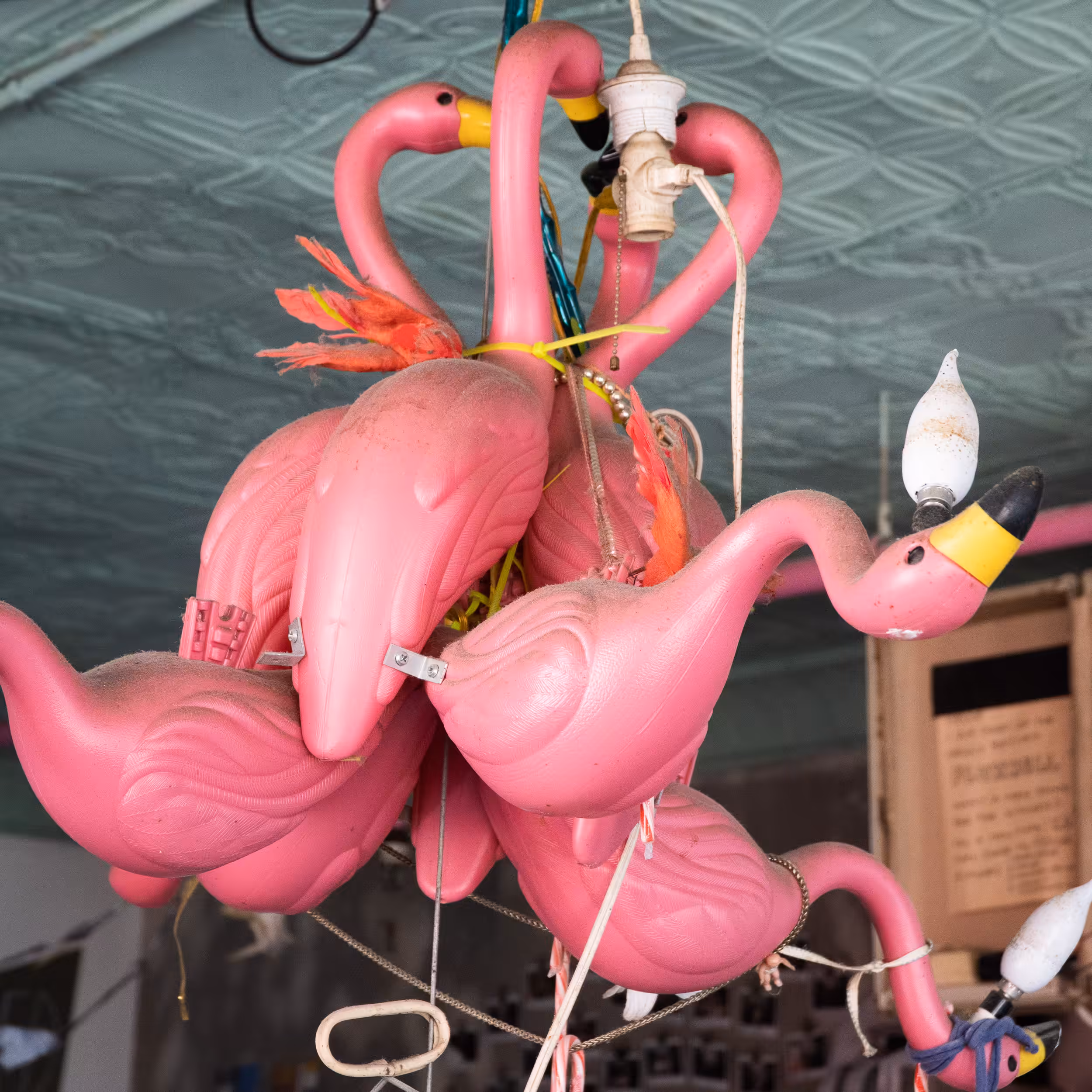 Flux Flamingo #28