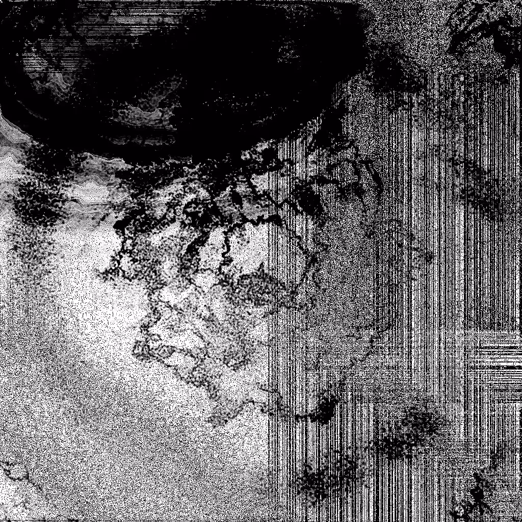 Noise #75 