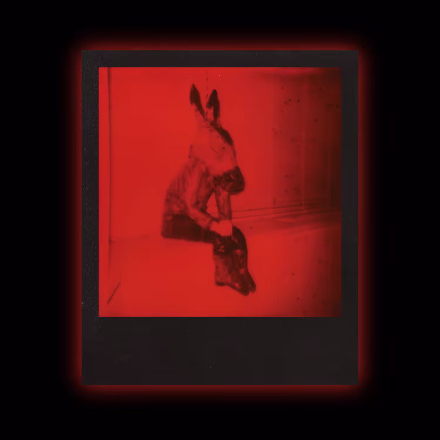 #41 'Donnie Darko'