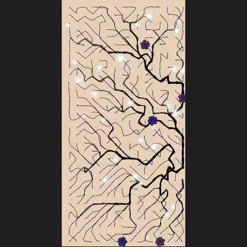The Root #3