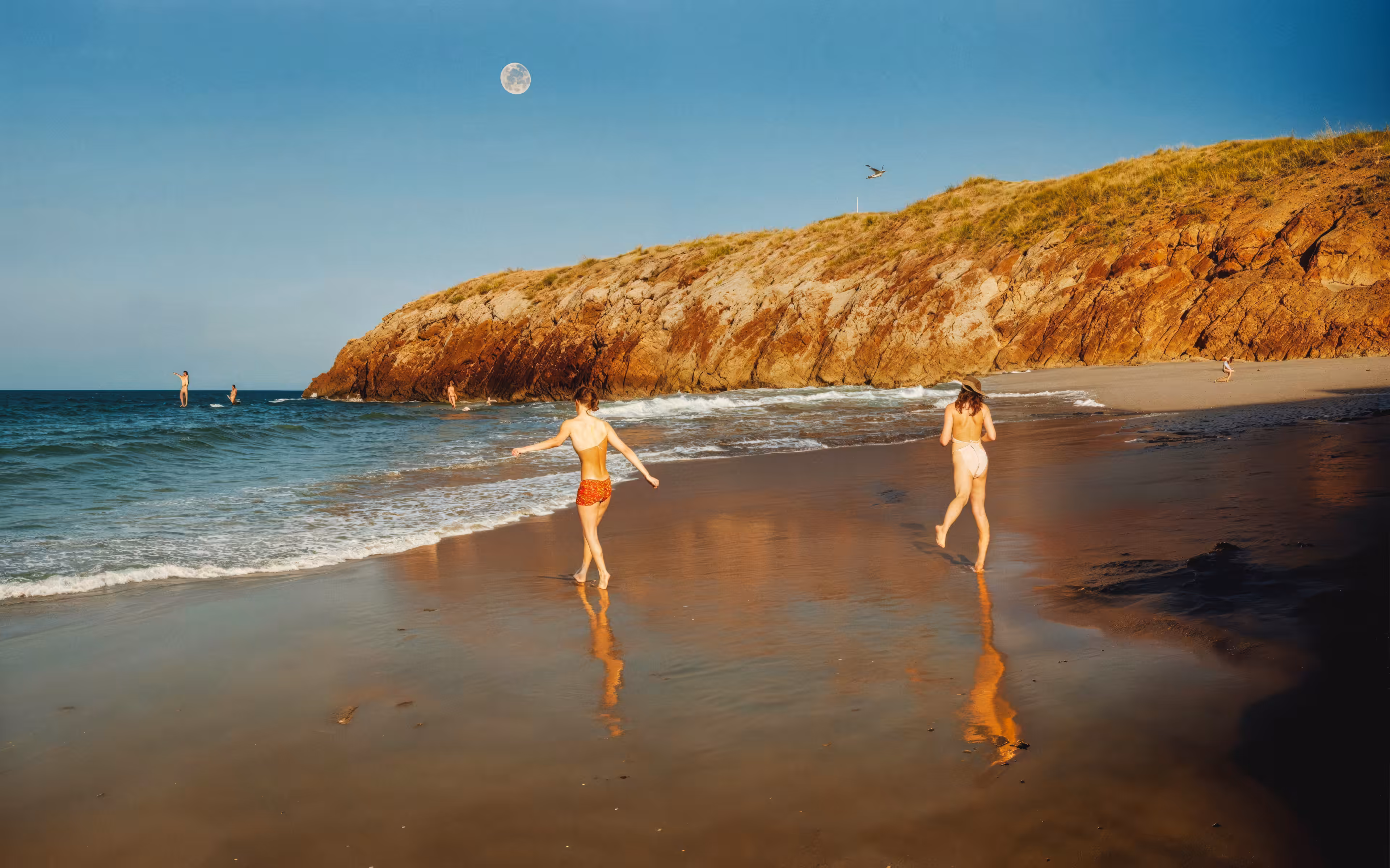New Moon Rising
