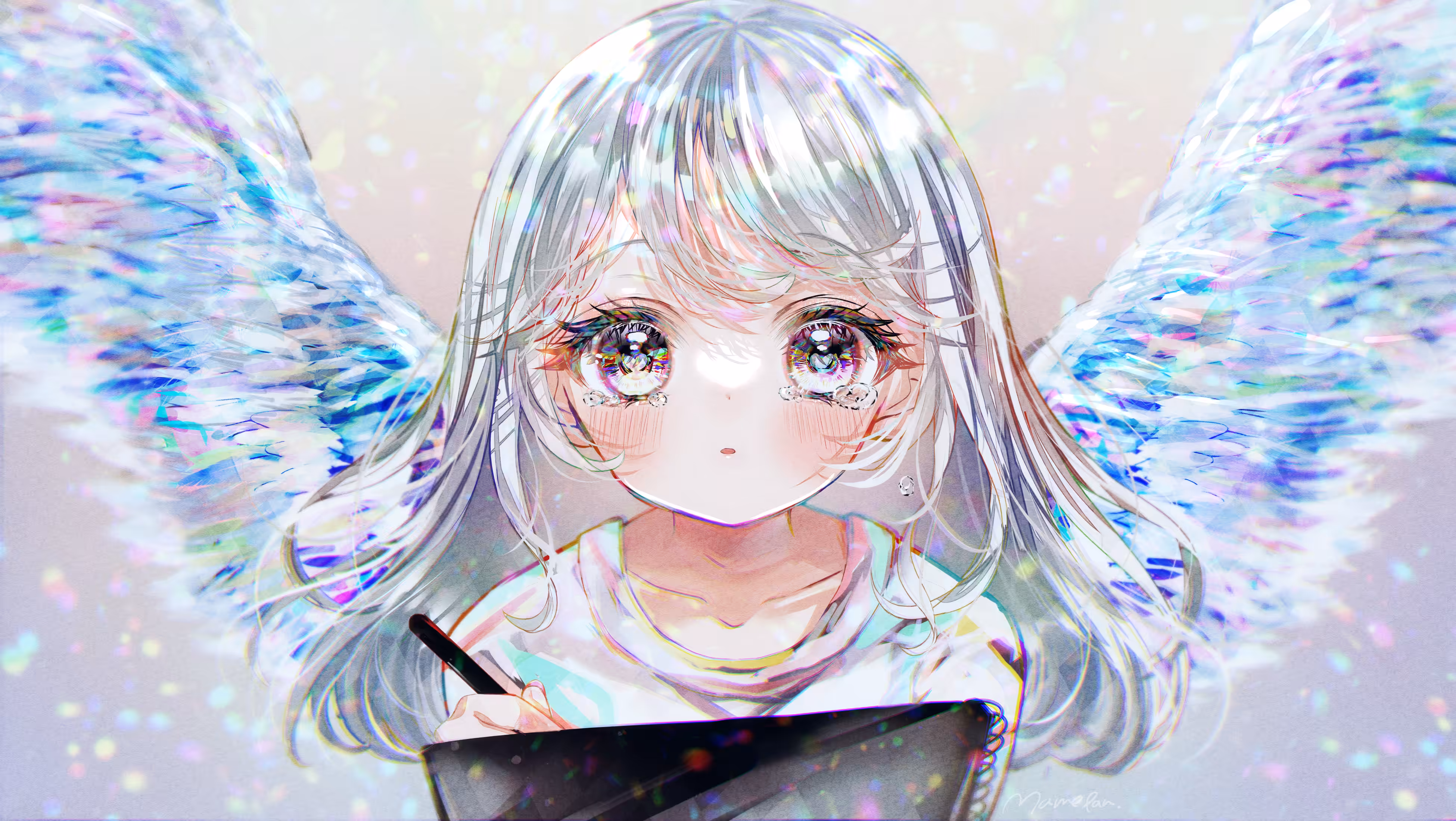 Fly