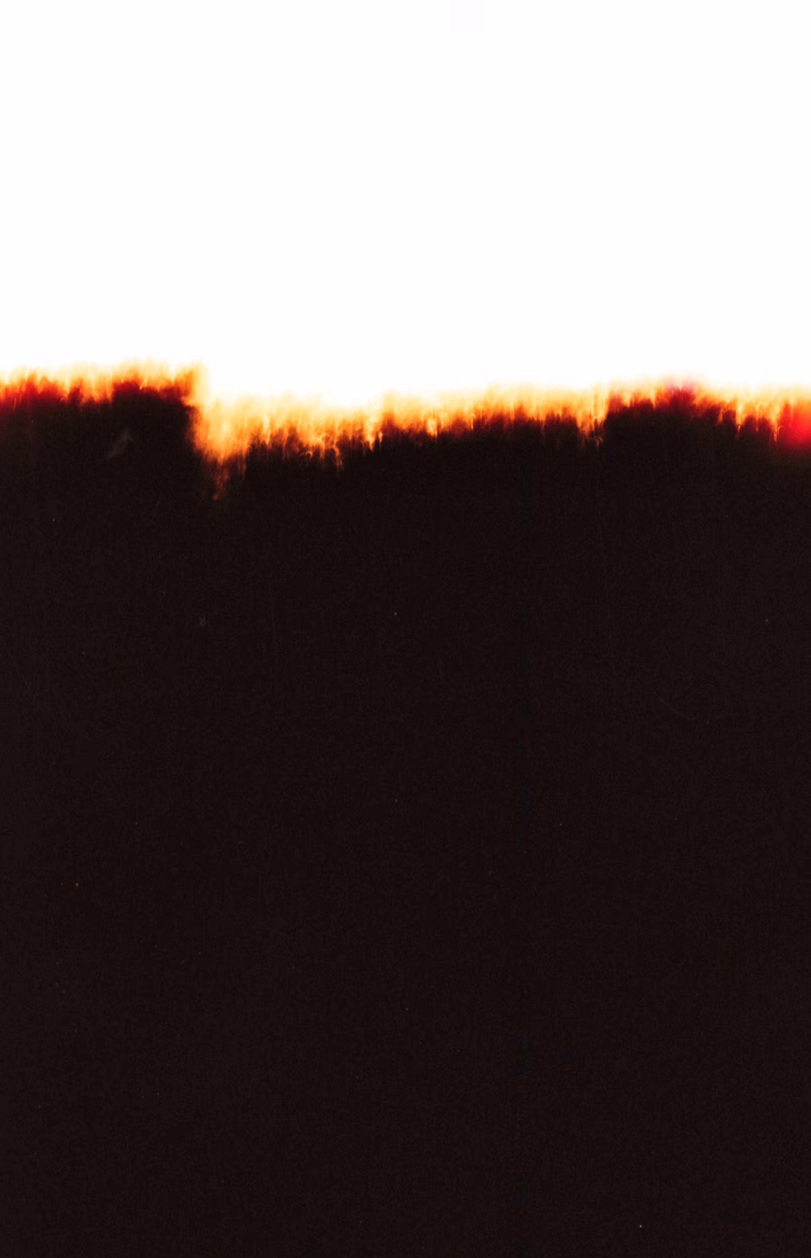 𝐊𝐀𝐌𝐔𝐘