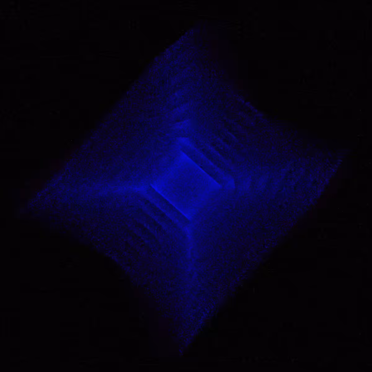 form-003