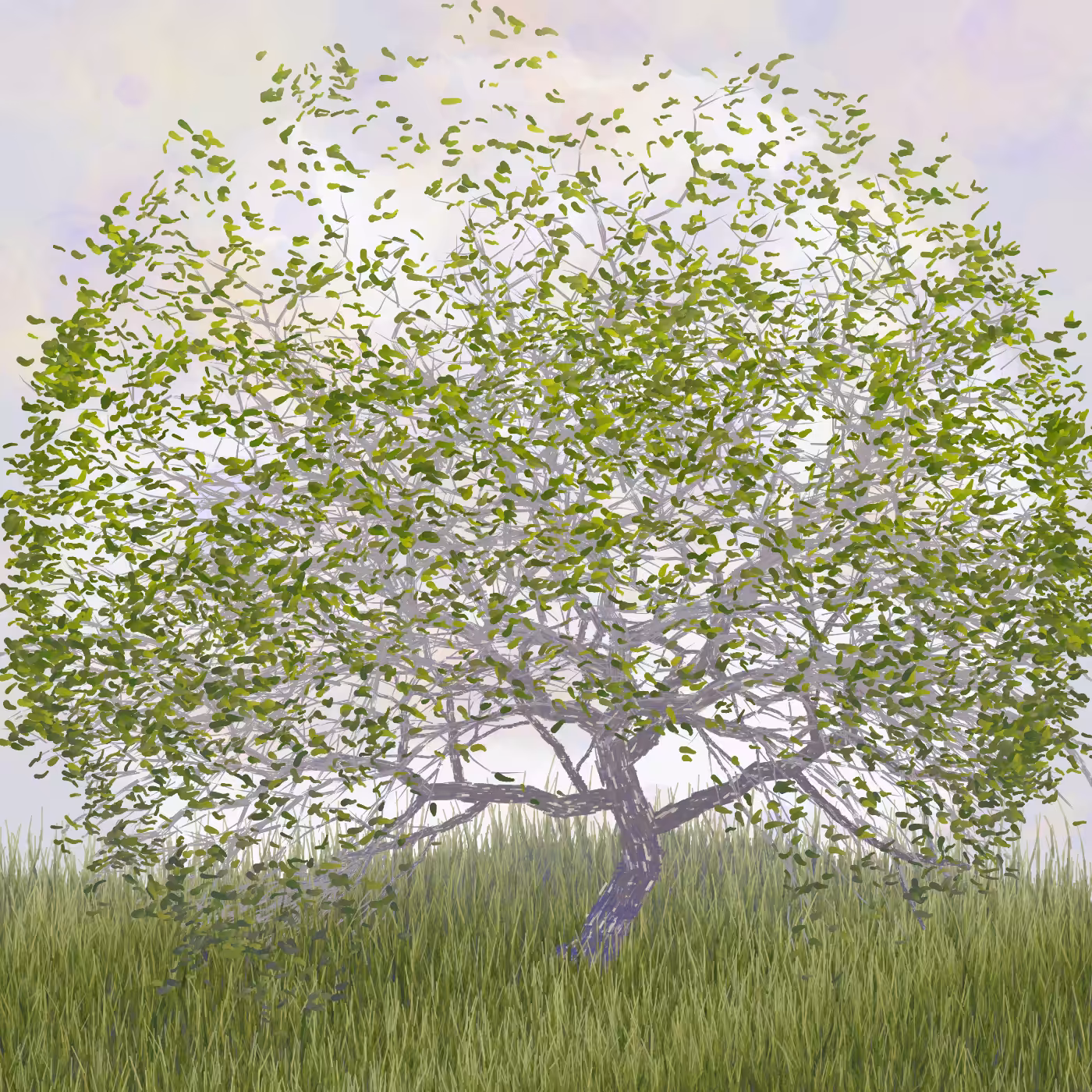 Ornamental Tree #131