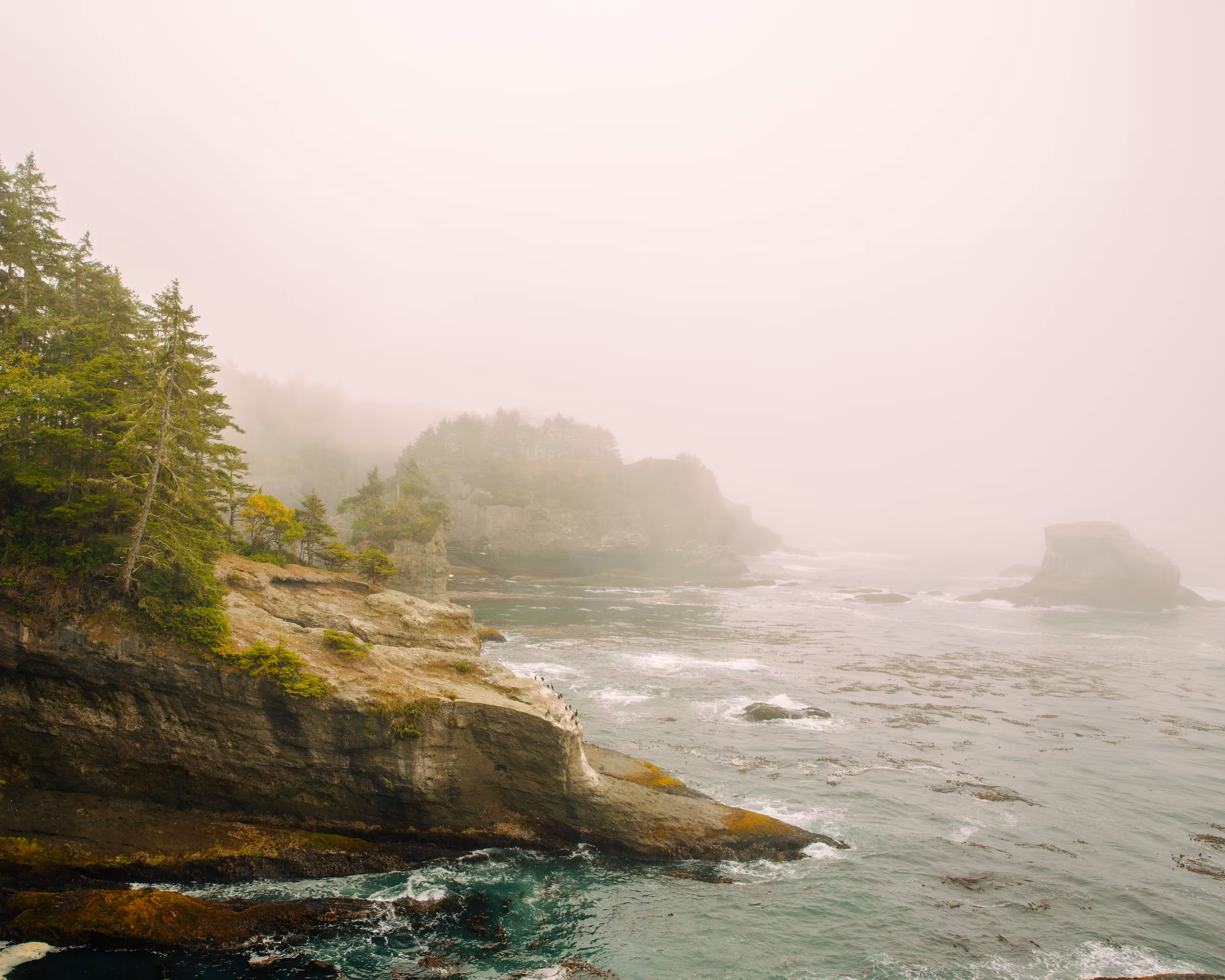 Cape Flattery