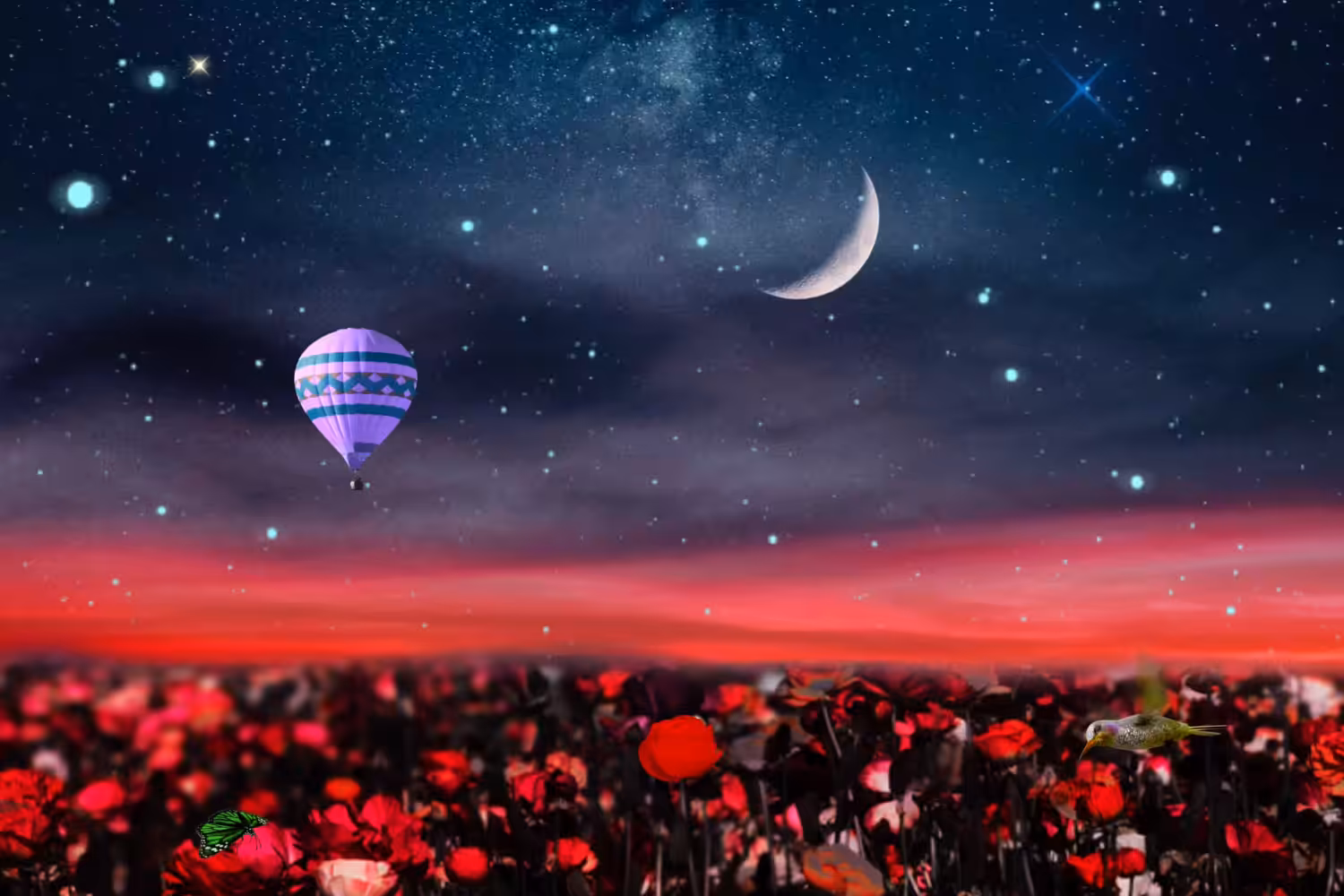 A Dreamy Paradise