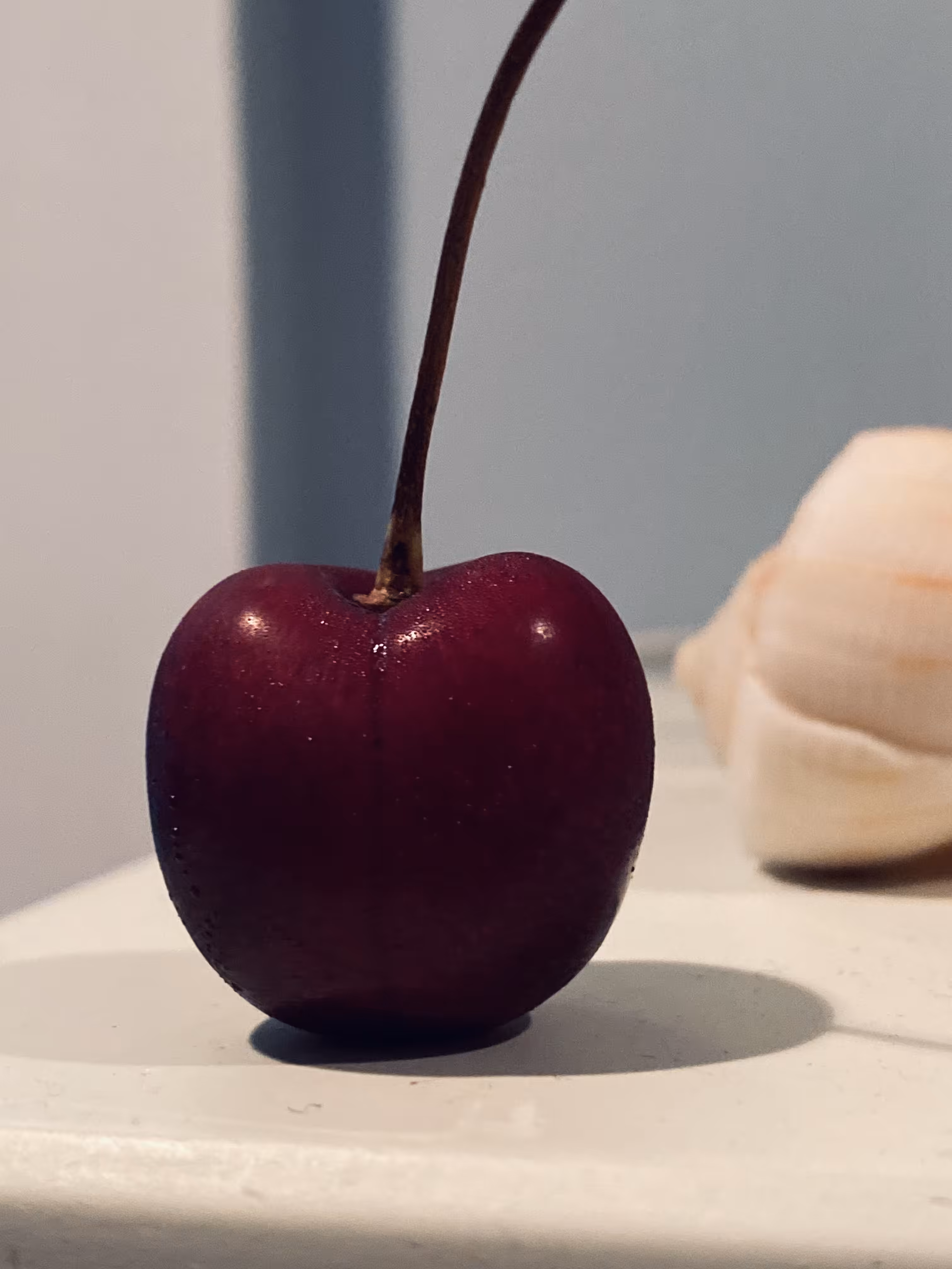 Single Cherry on Kitchen Shelf, 2020