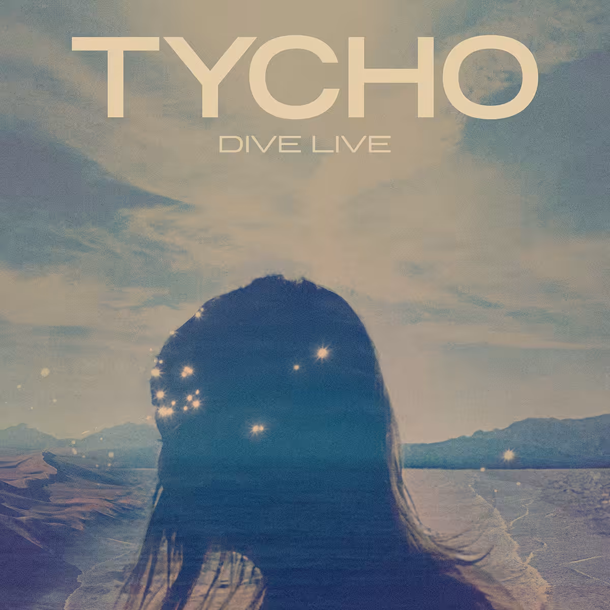 Tycho Dive Live 2022 Tour Medallion