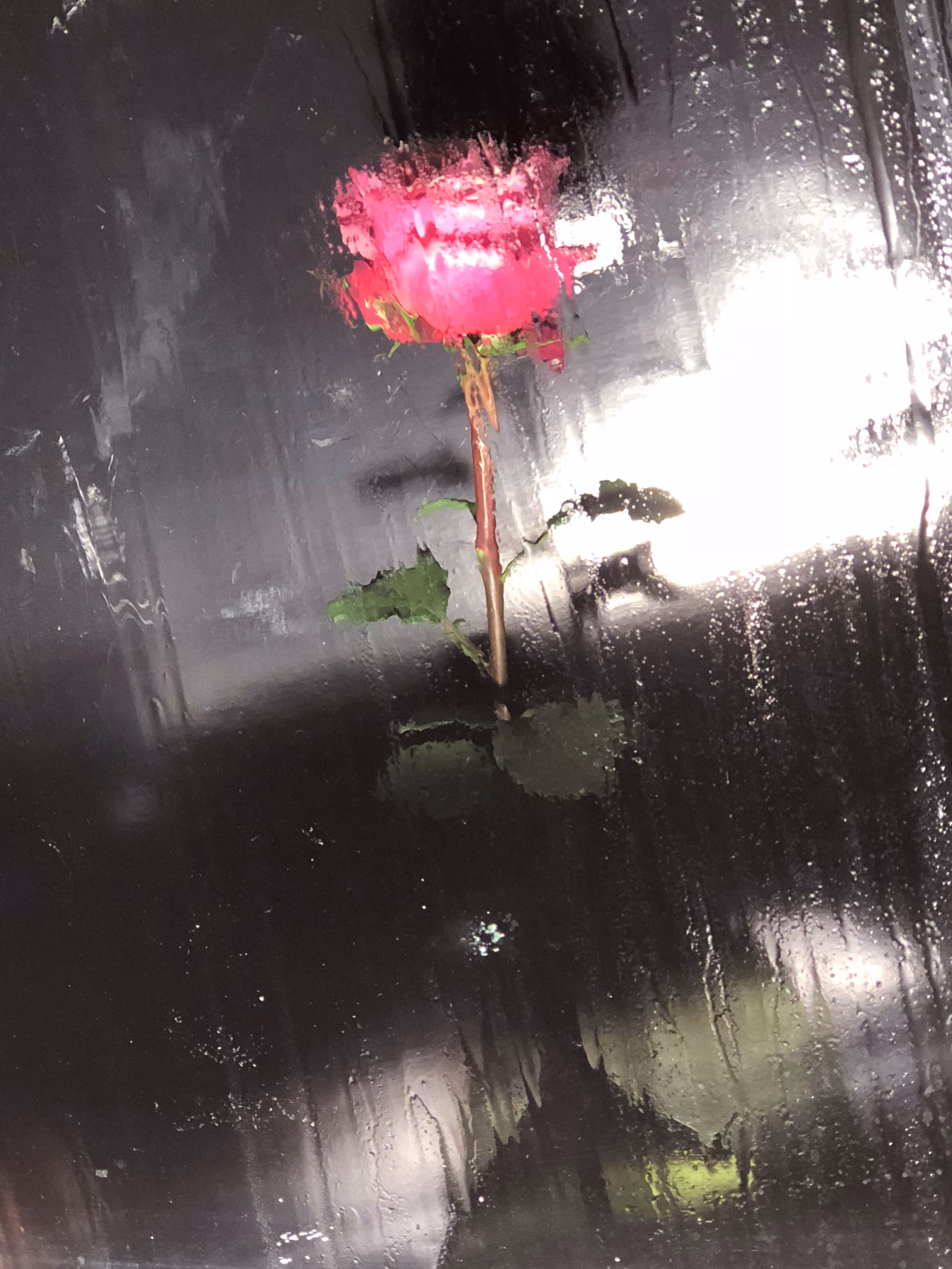 Reflections #6