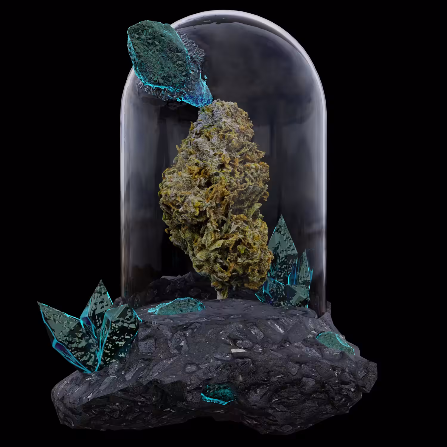 Amnesia #1 – Asteroid