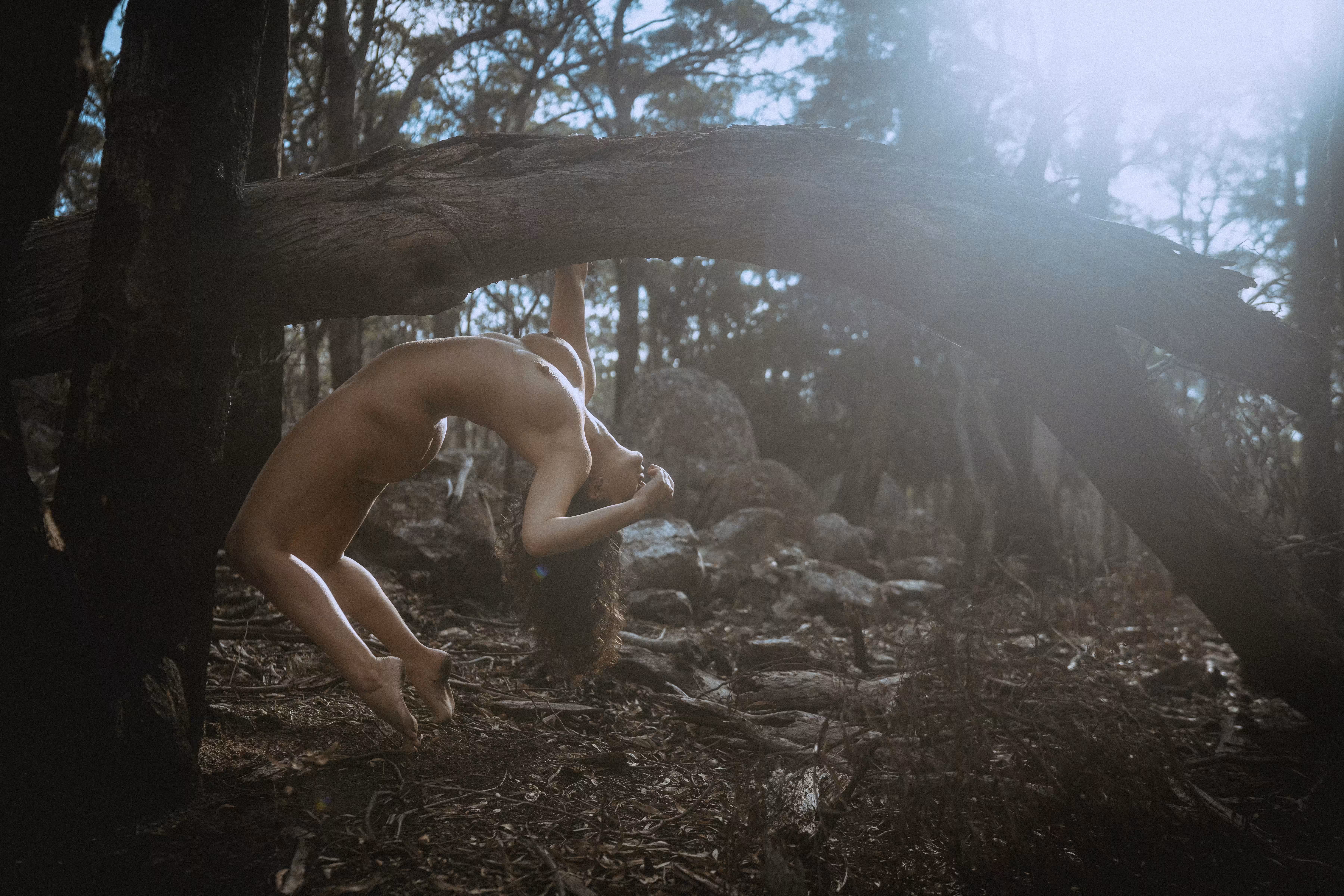 Wilderness of Life #5