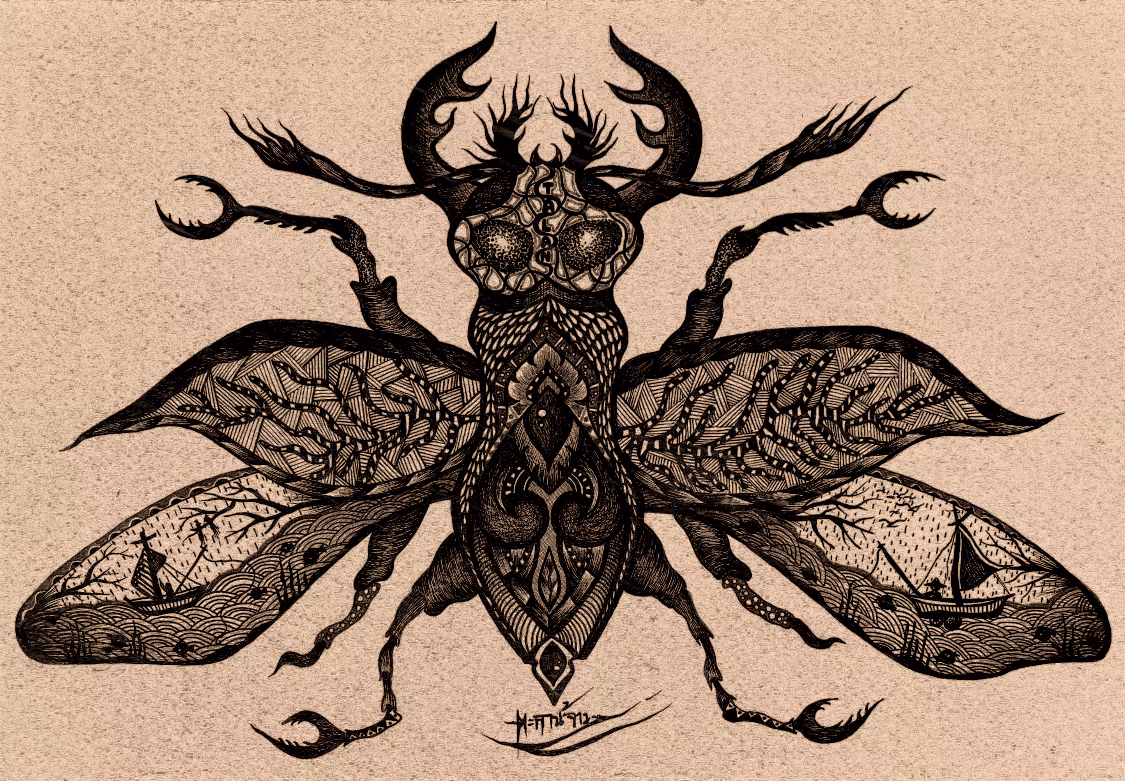 Insect talan #05